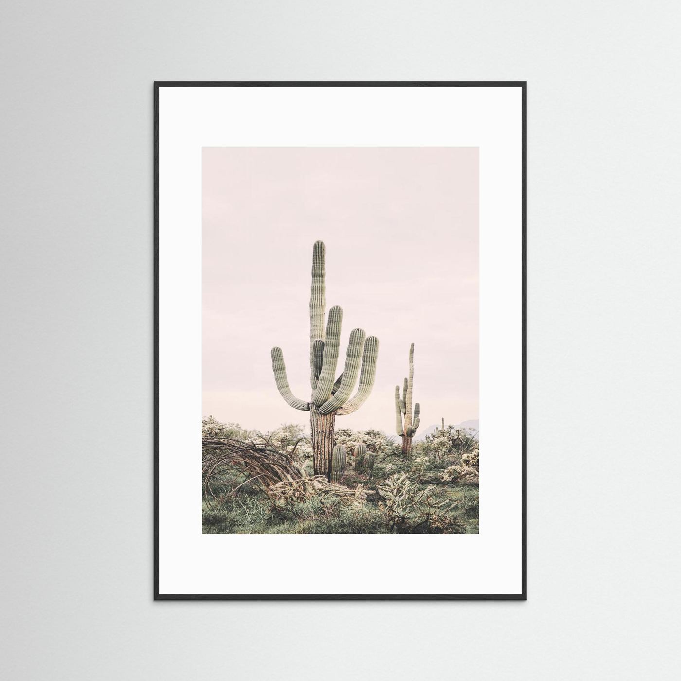 Pink Saguaro by Kathrin Pienaar