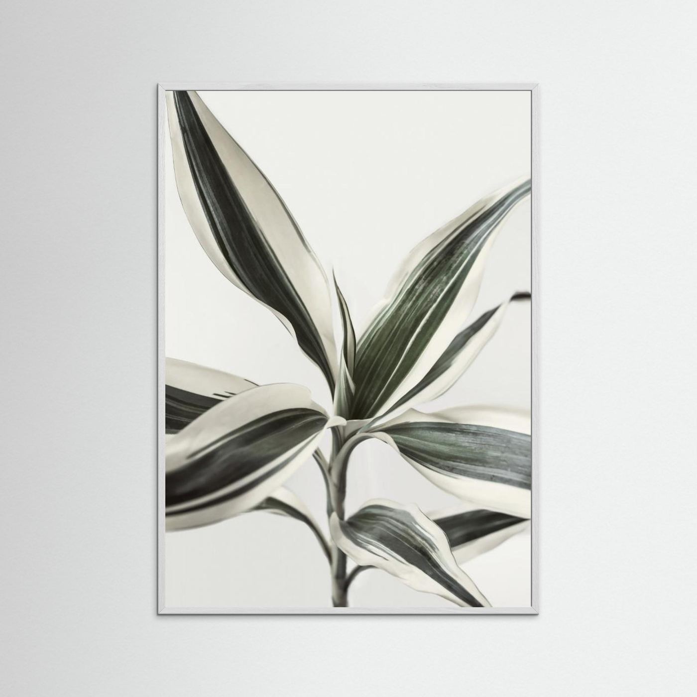 Foliage by Kathrin Pienaar