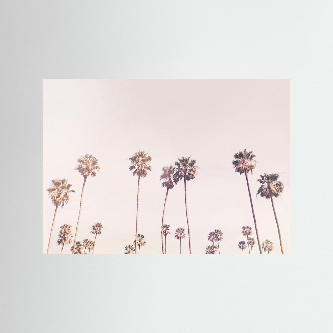 Sunny Cali Palm Trees by Kathrin Pienaar
