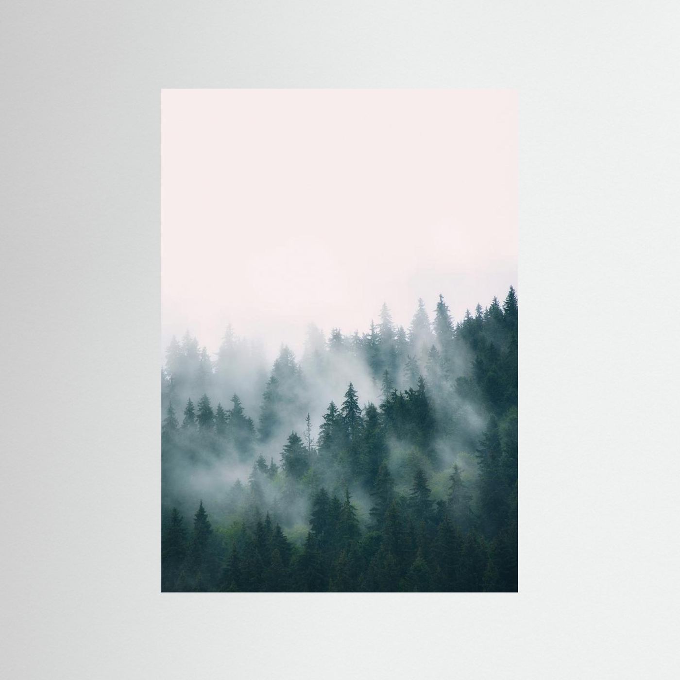 Forest by Kathrin Pienaar