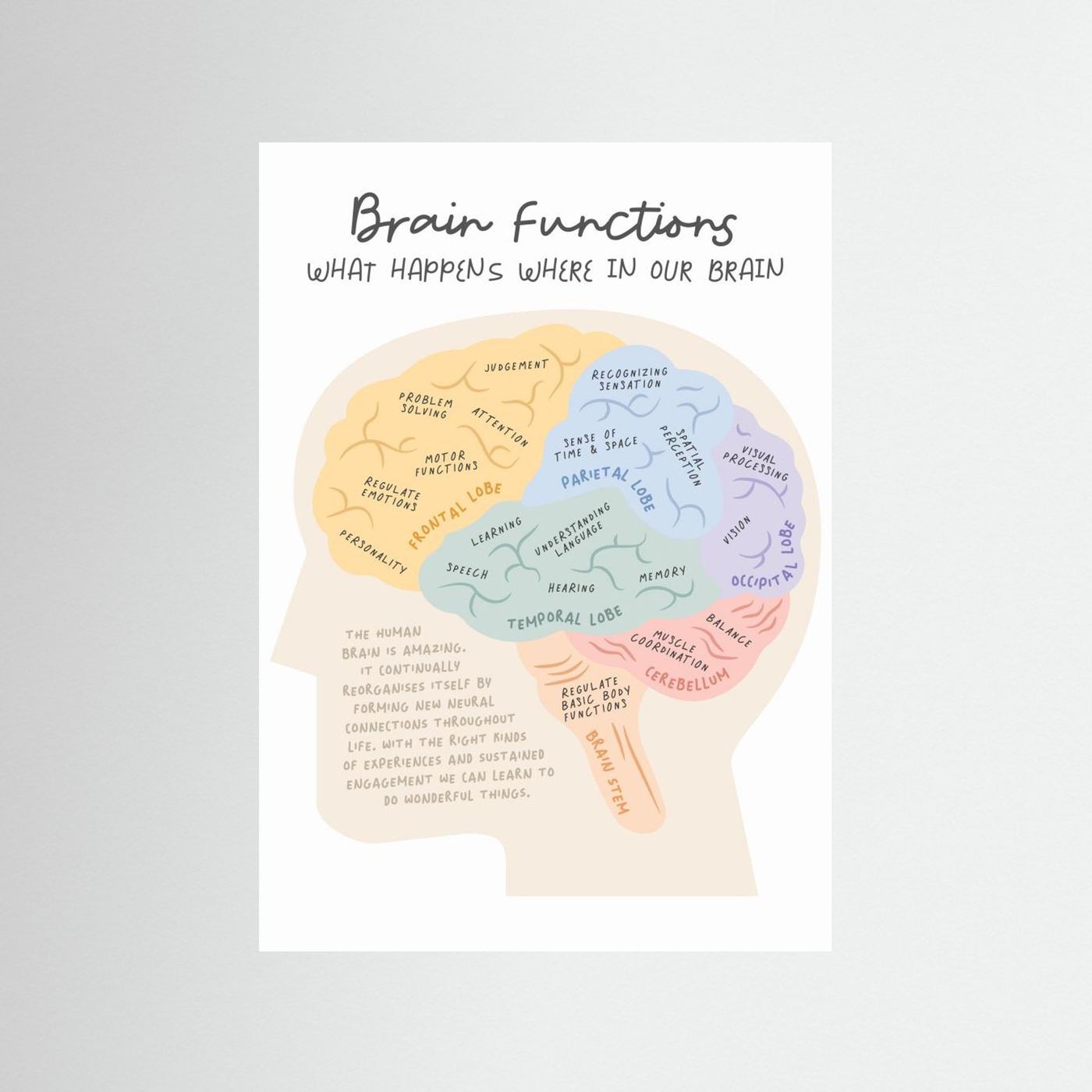 Brainfunctions by Ksana Kalpa