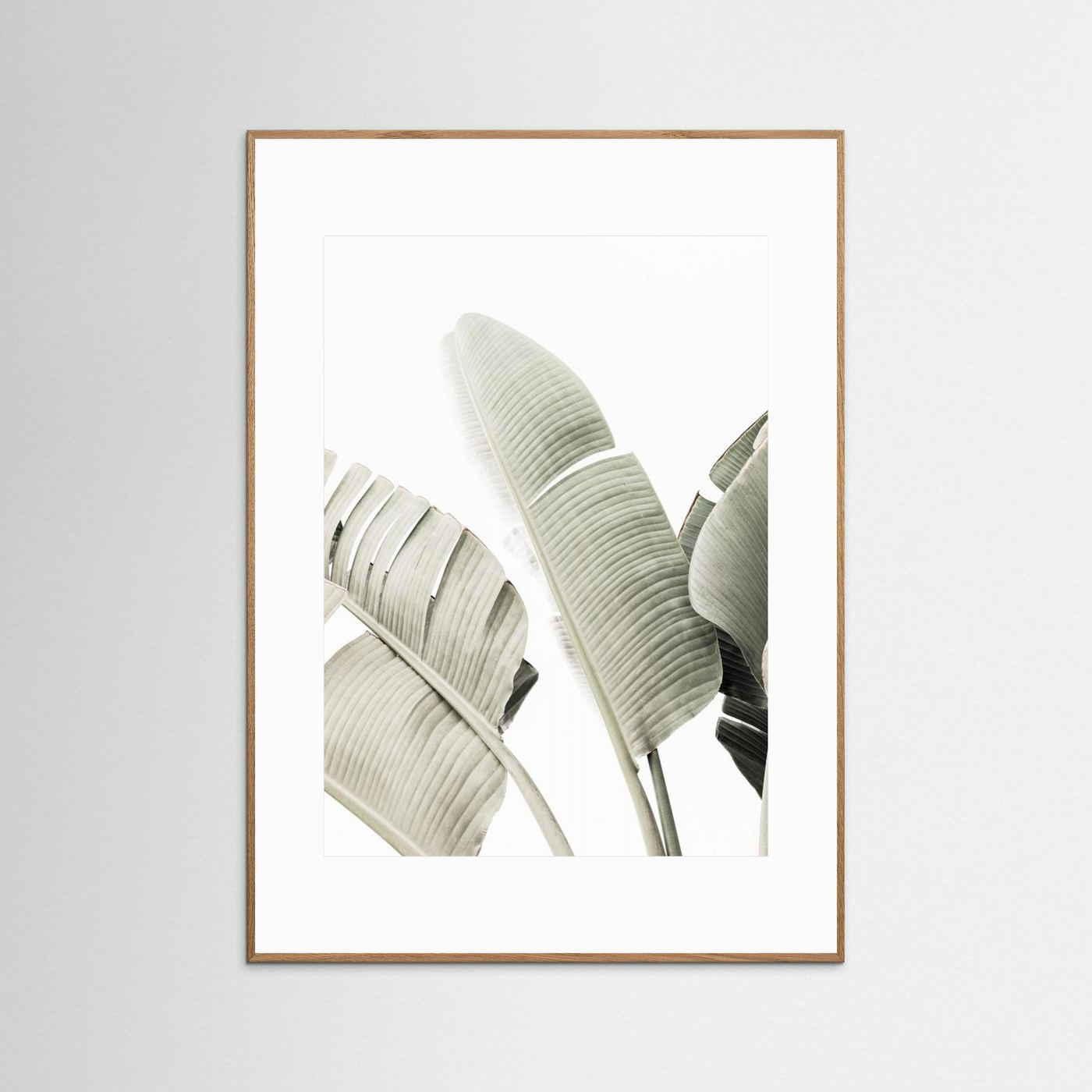 Banana leaf 1 by Kathrin Pienaar