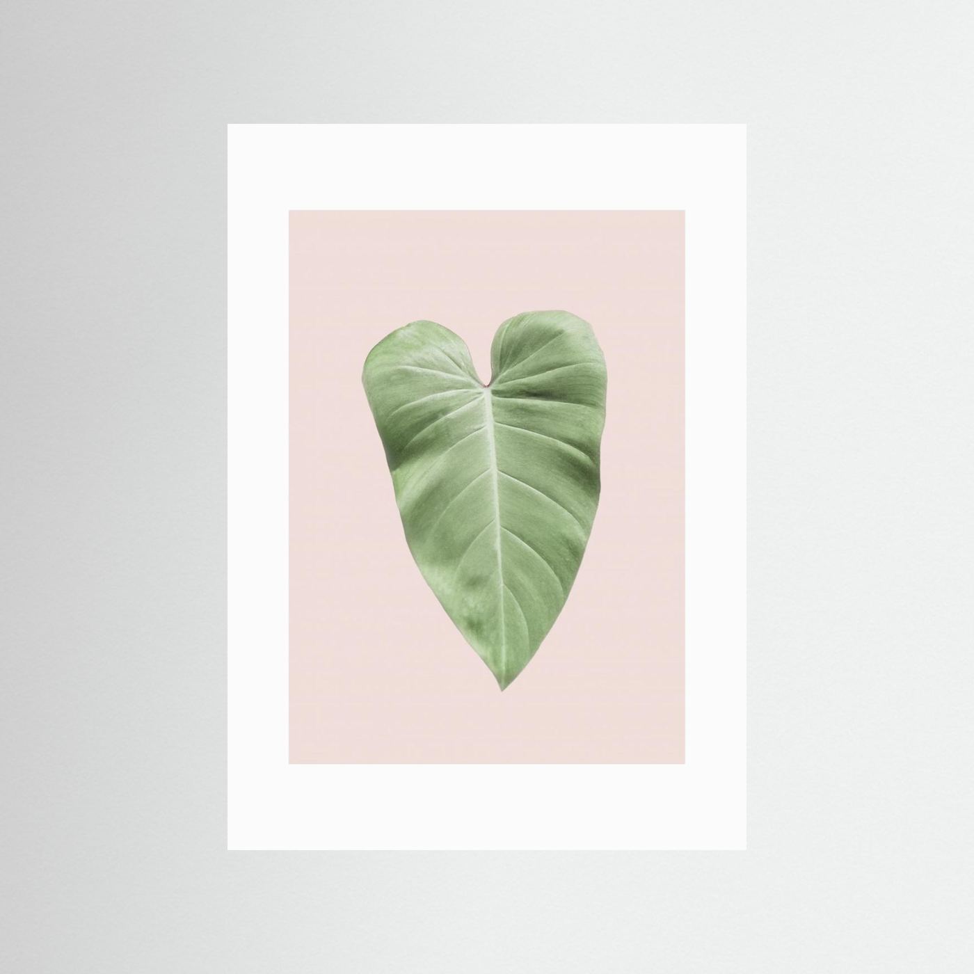 Tropical Leaf Blush by Kathrin Pienaar