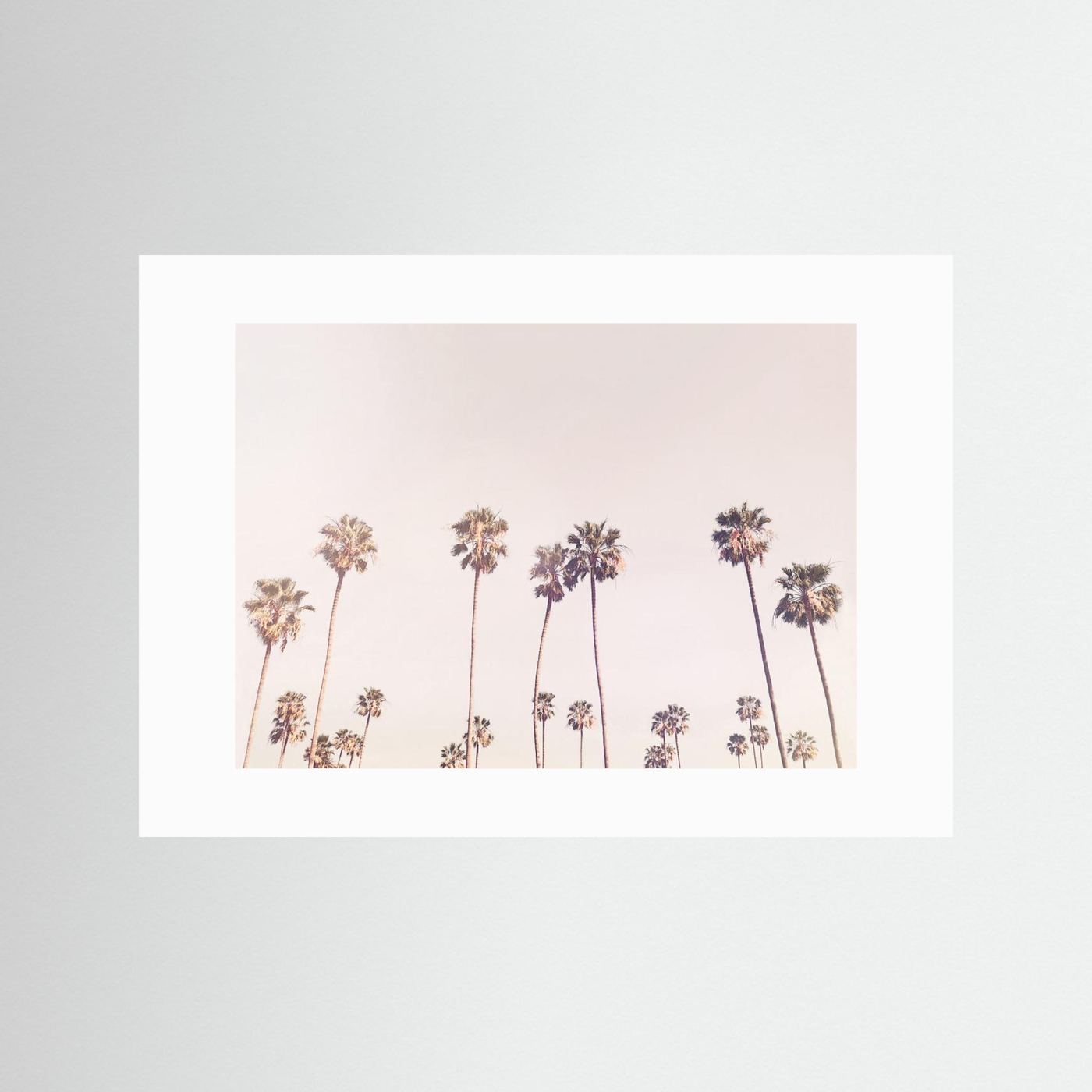 Sunny Cali Palm Trees by Kathrin Pienaar