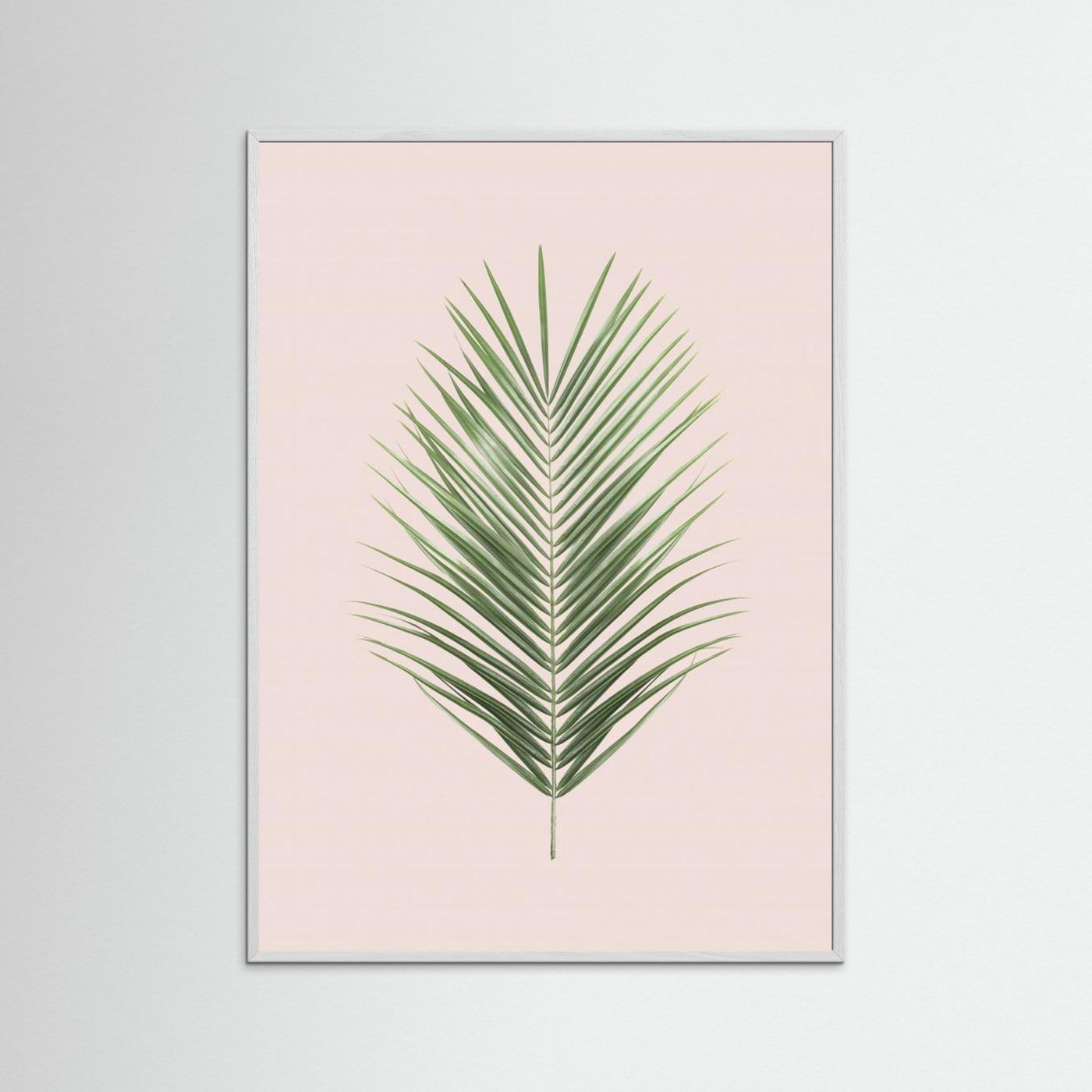 Palm Leaf Blush by Kathrin Pienaar
