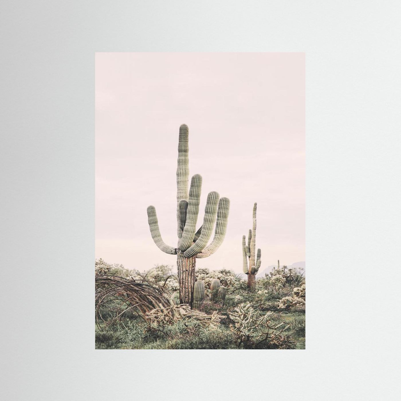 Pink Saguaro by Kathrin Pienaar