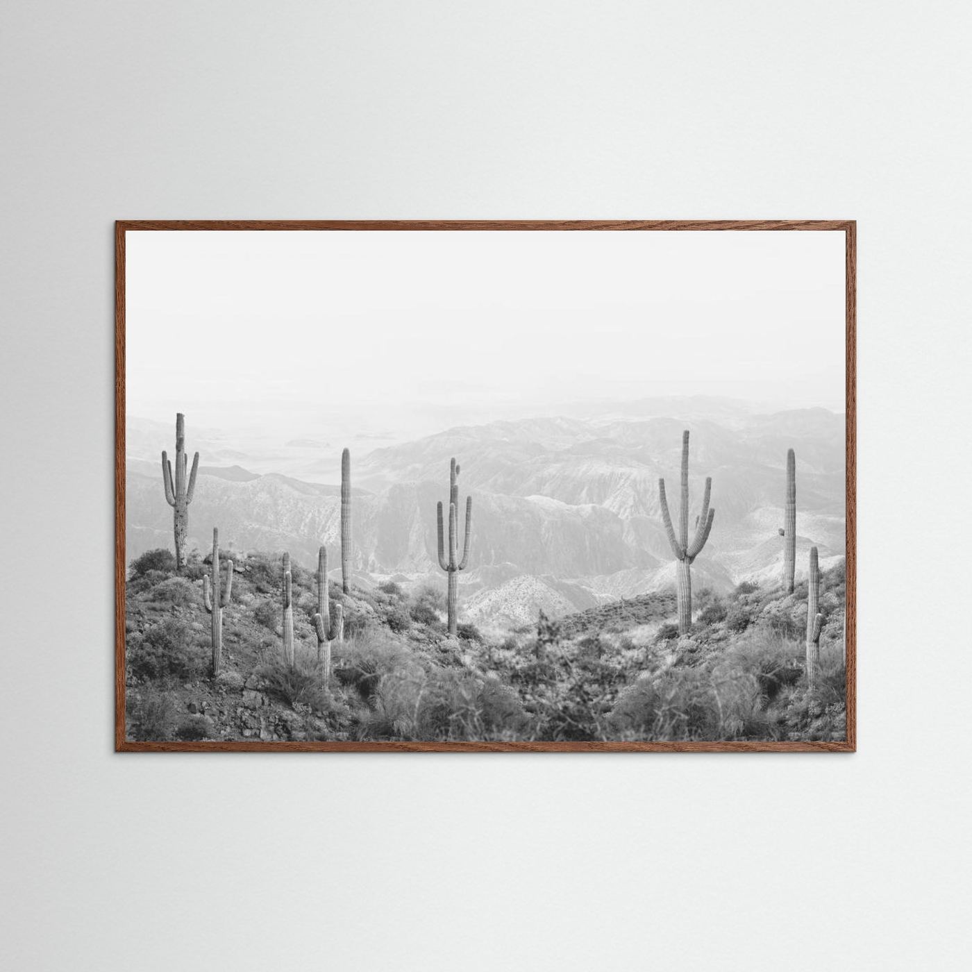 Western Cactus by Kathrin Pienaar