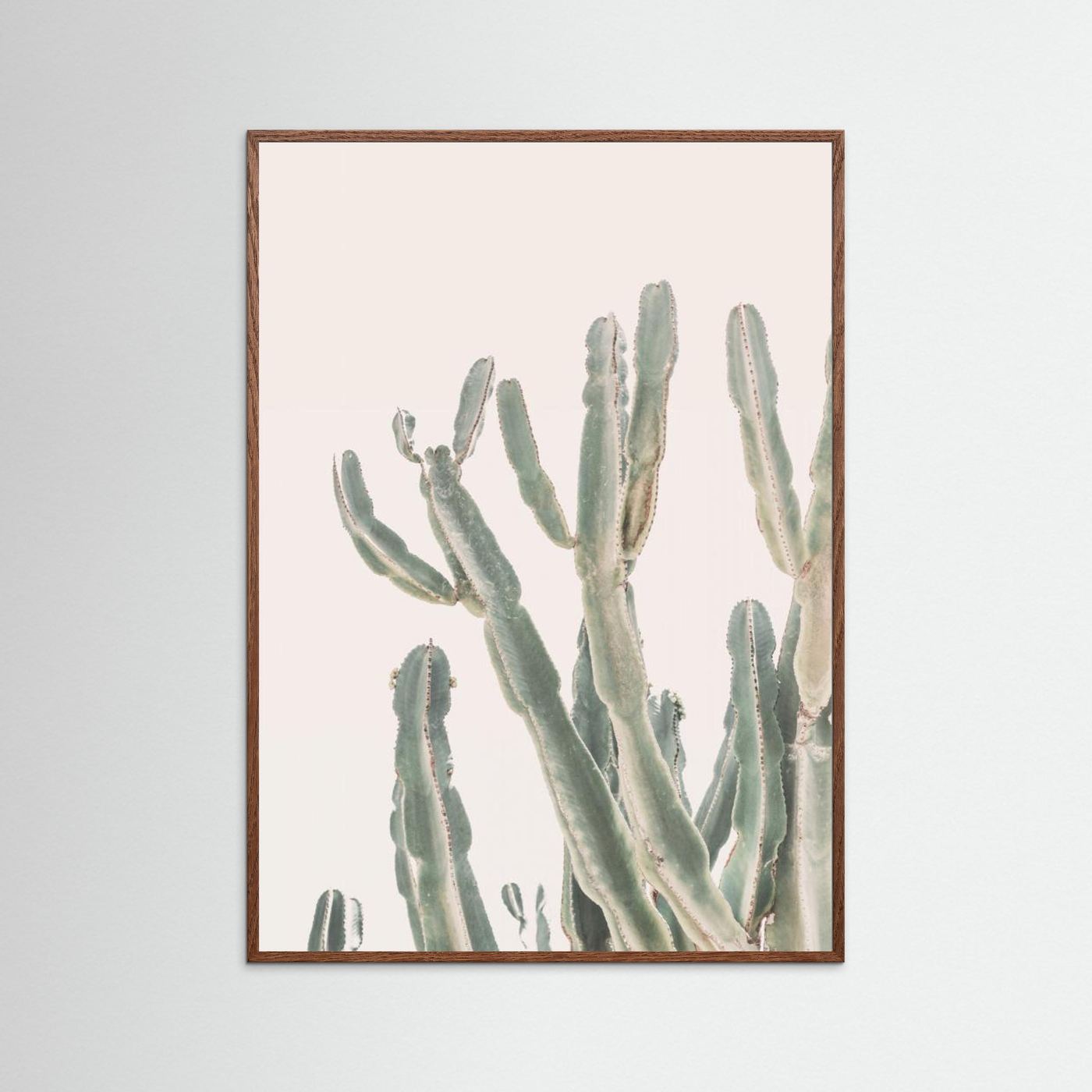 Sunrise Cactus by Kathrin Pienaar