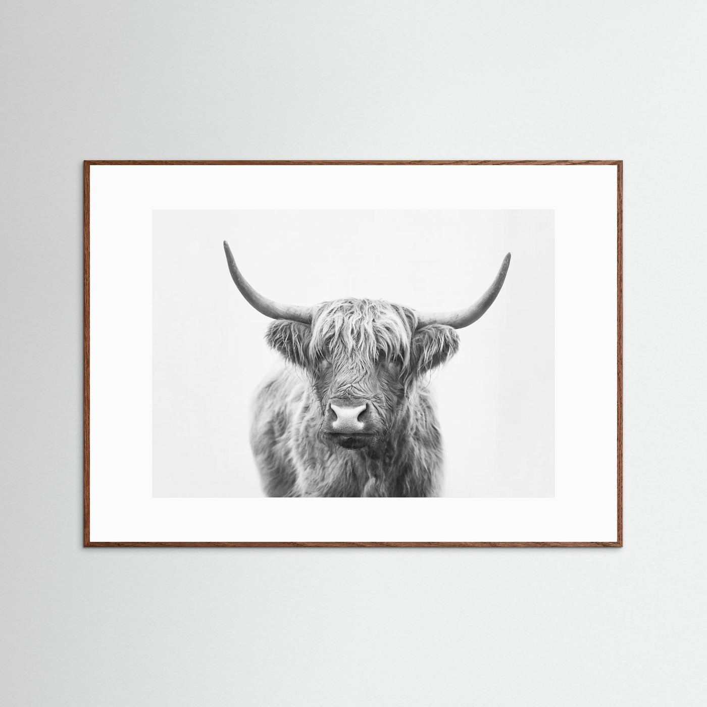 Highland Bull by Kathrin Pienaar