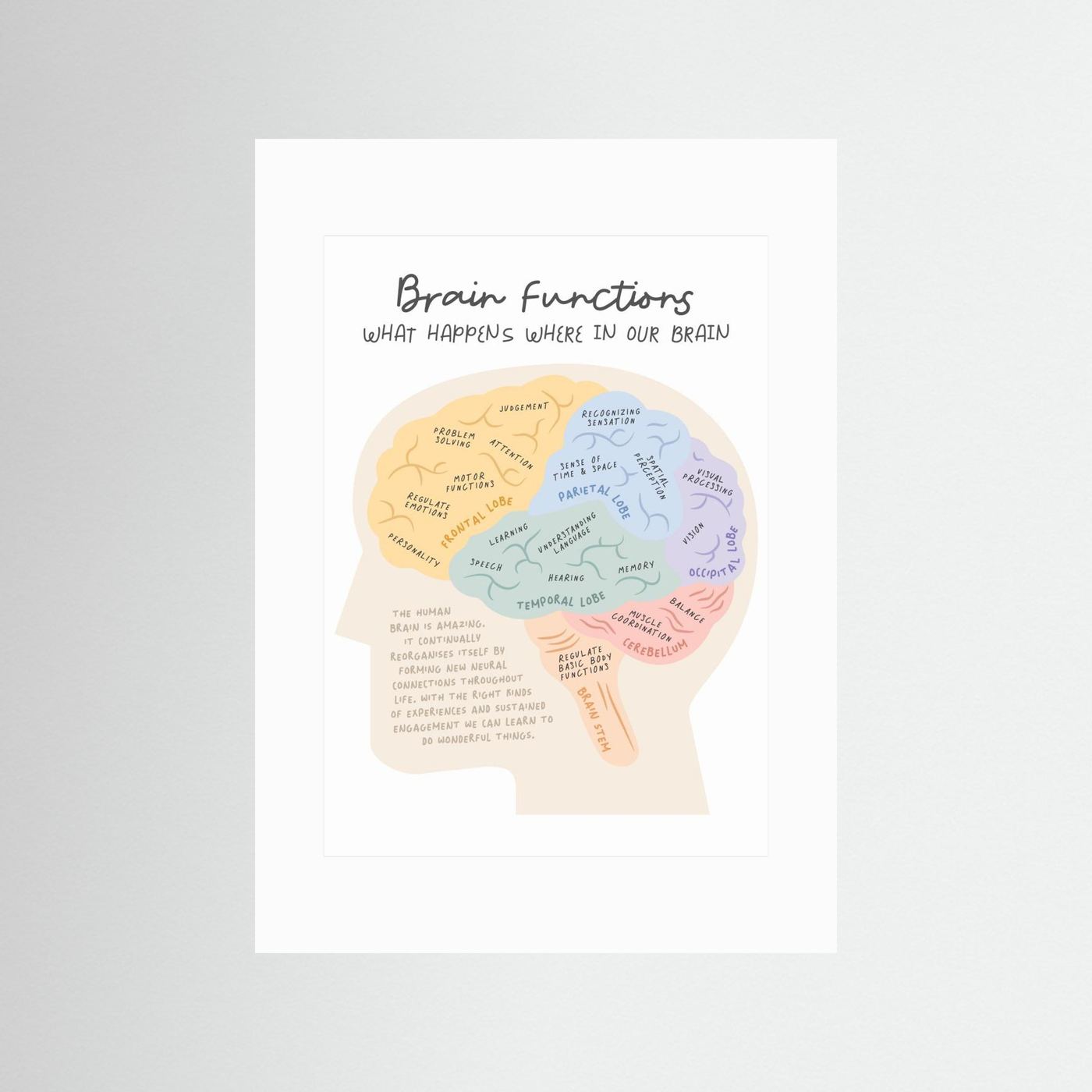 Brainfunctions by Ksana Kalpa