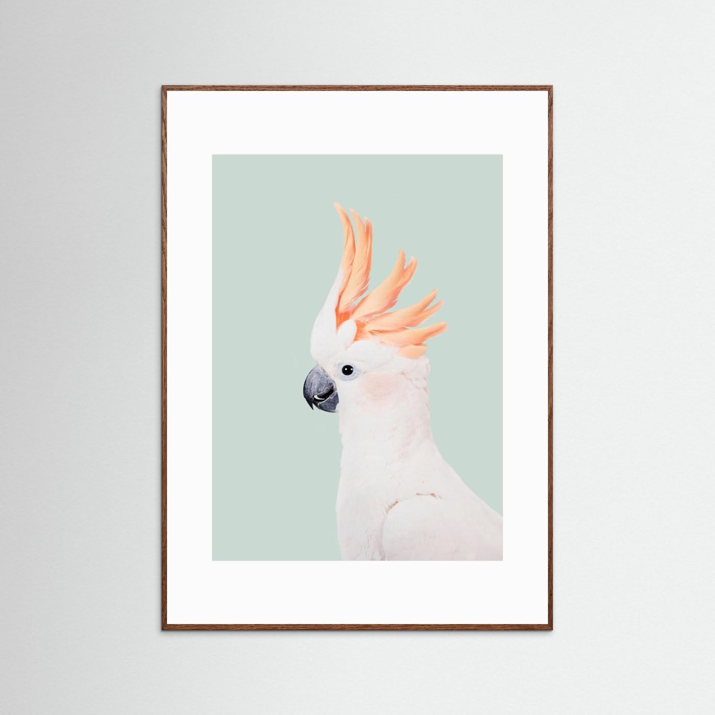 Cockatoo on Mint by Kathrin Pienaar