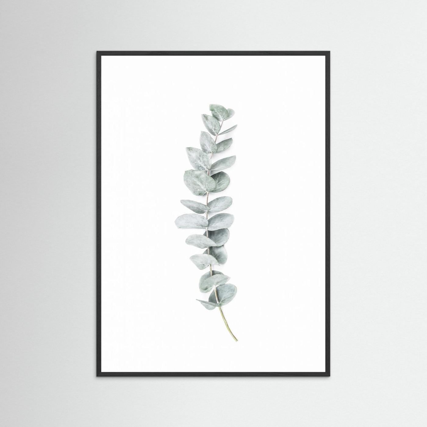 Eucalyptus II by Kathrin Pienaar