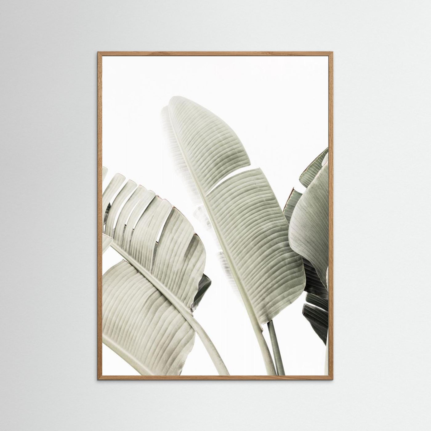 Banana leaf 1 by Kathrin Pienaar