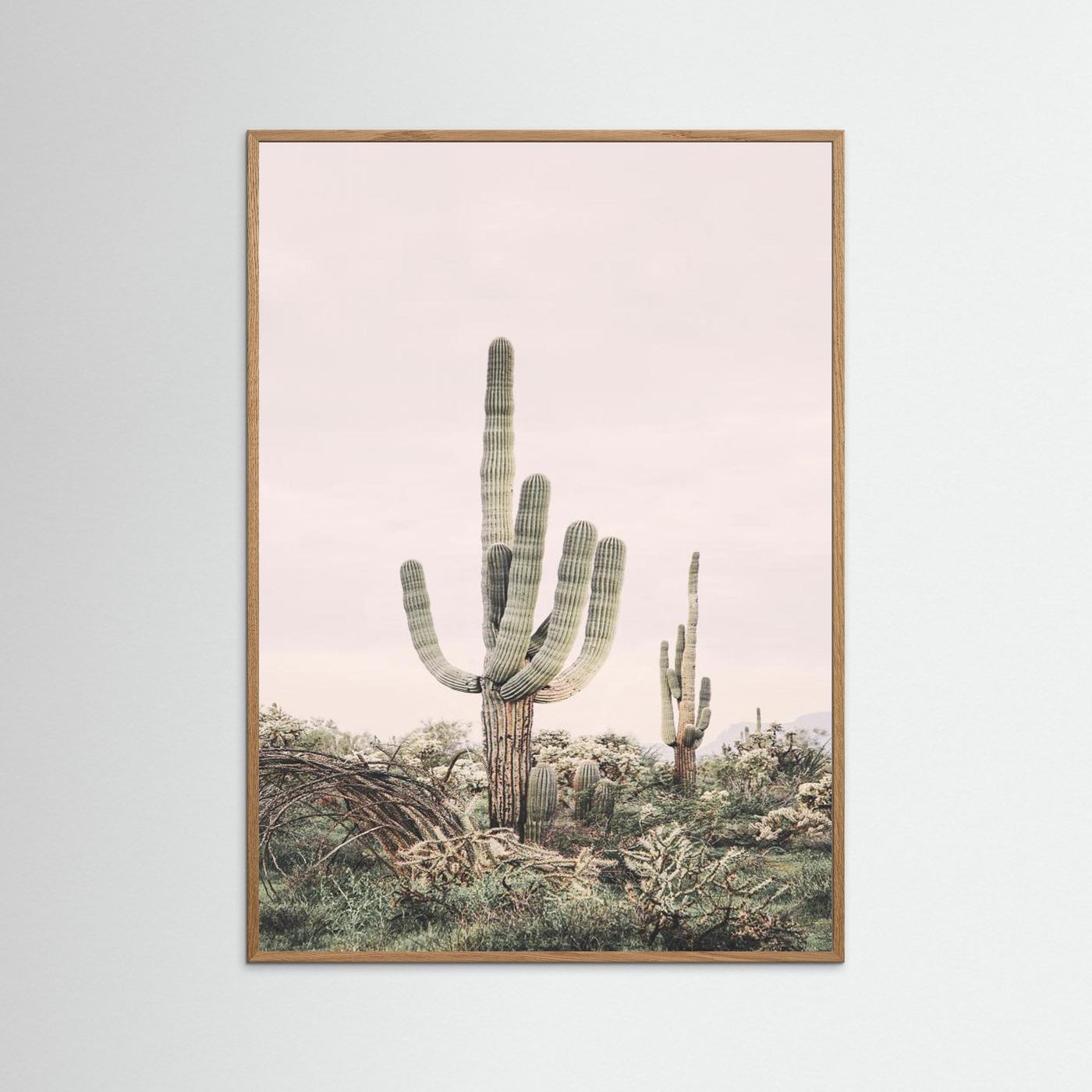 Pink Saguaro by Kathrin Pienaar