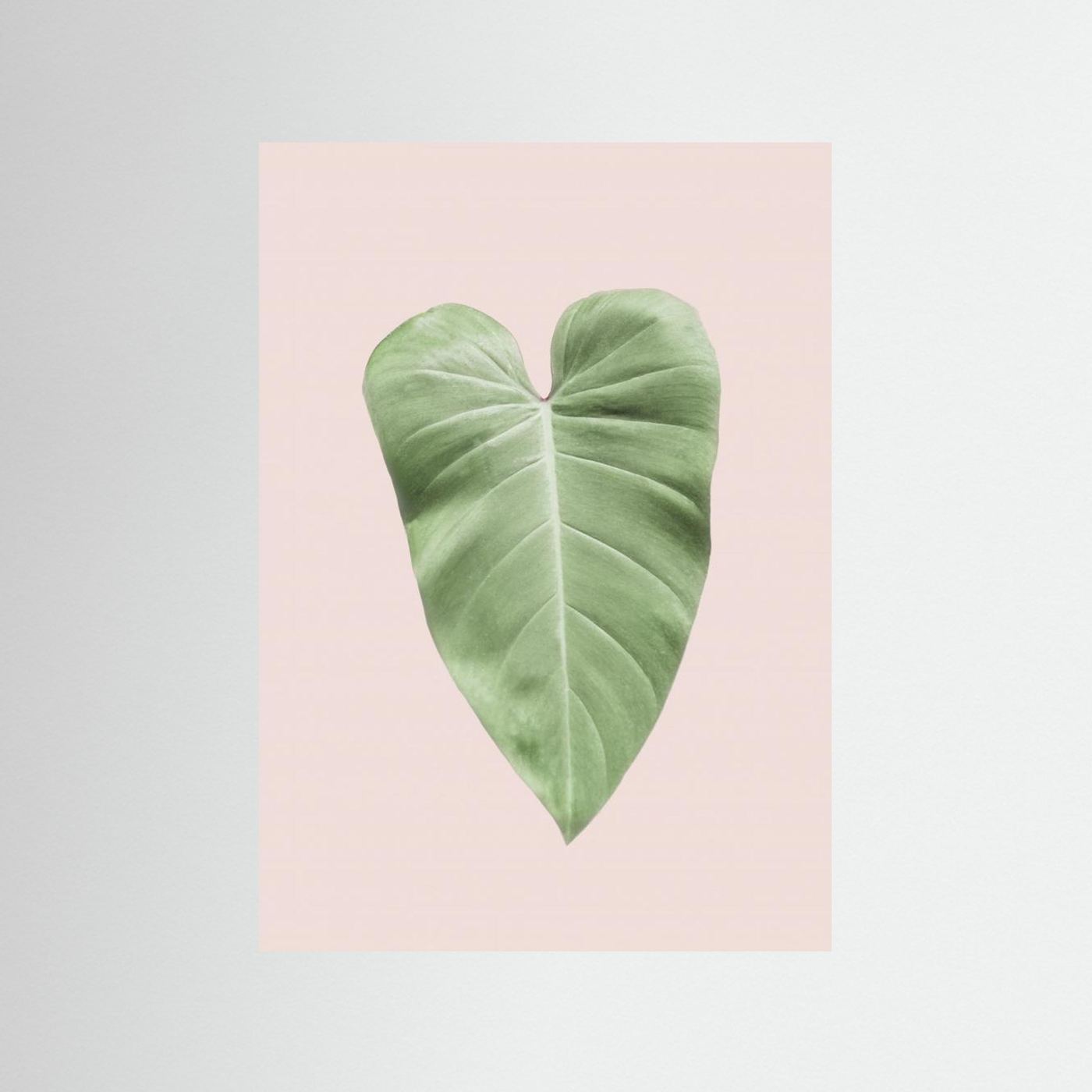 Tropical Leaf Blush by Kathrin Pienaar