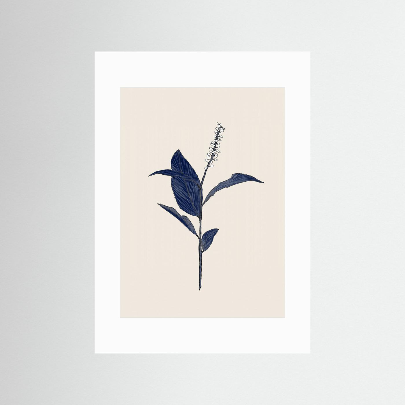 Botanical01 by Danushka Abeygoda