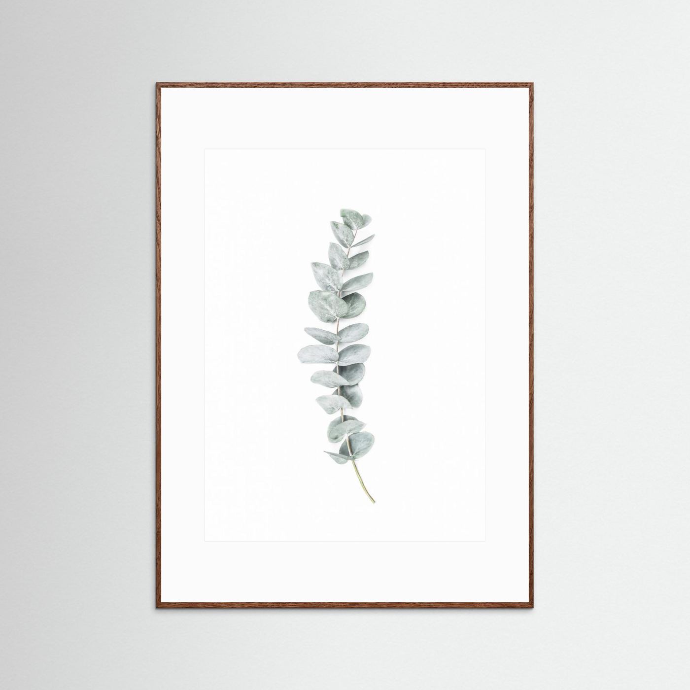 Eucalyptus II by Kathrin Pienaar
