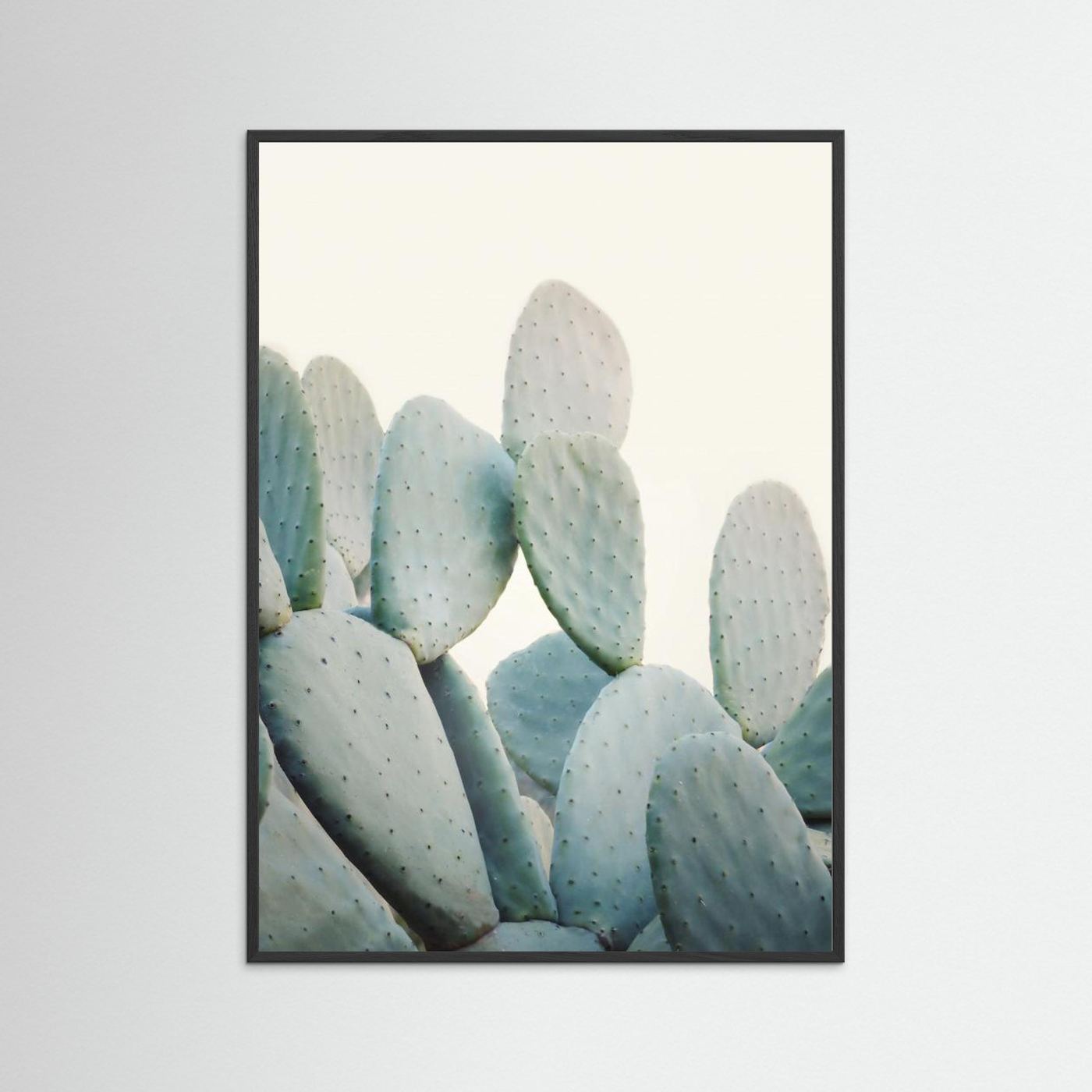Pastel Cacti by Kathrin Pienaar
