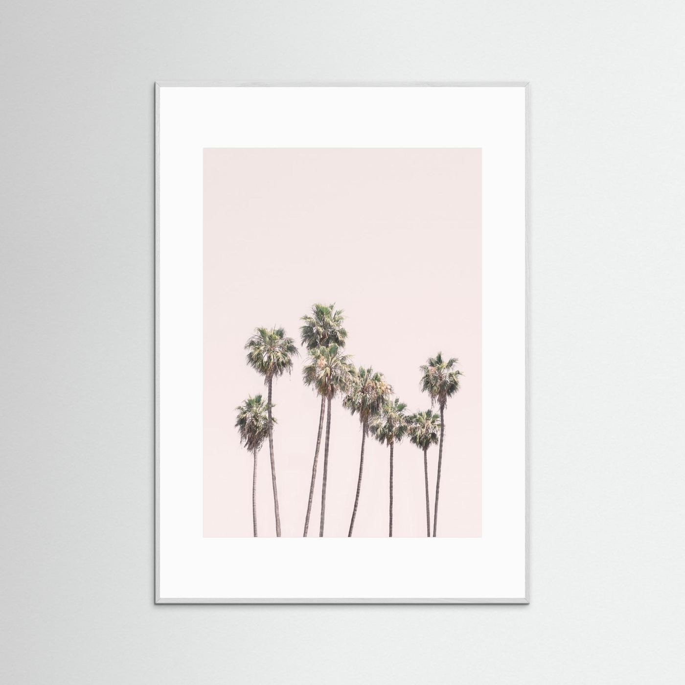 Blush Palms by Kathrin Pienaar