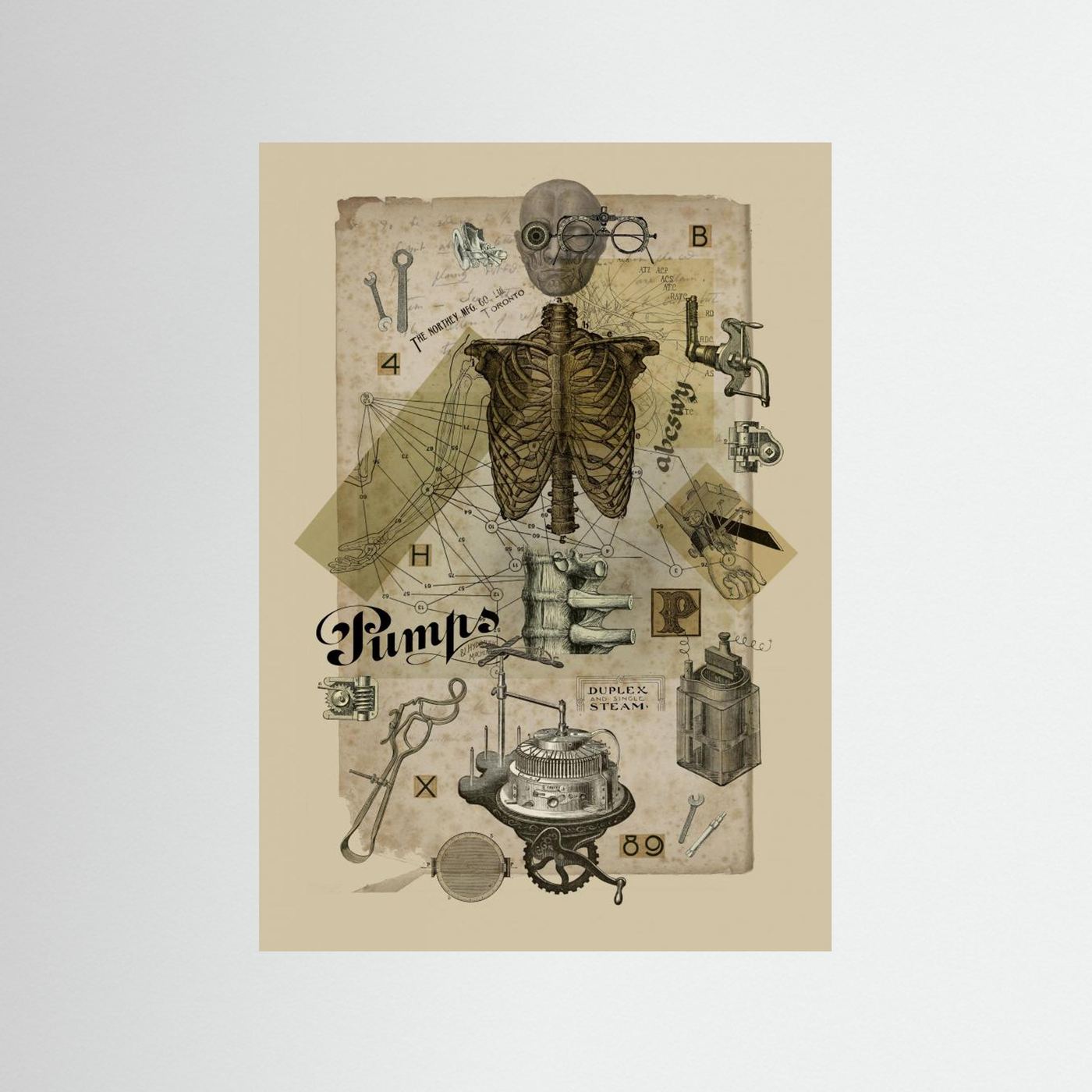 Body In Metamorphosis