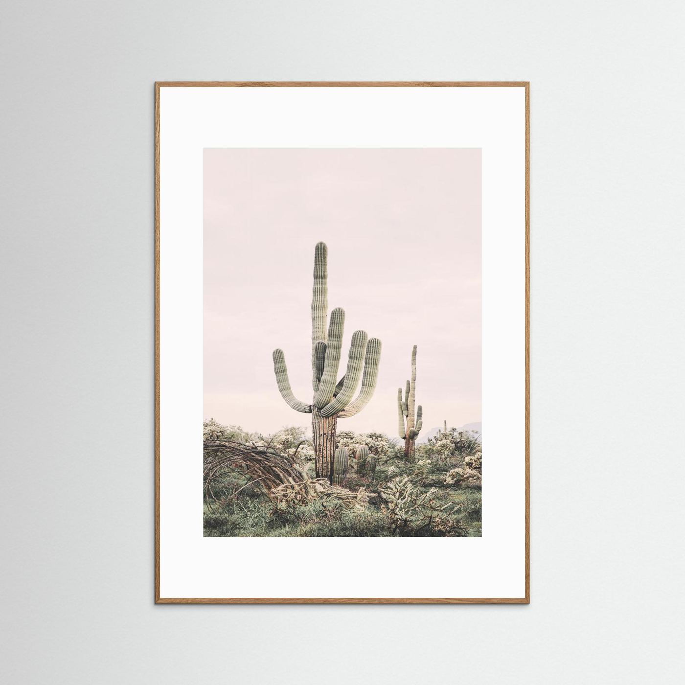 Pink Saguaro by Kathrin Pienaar