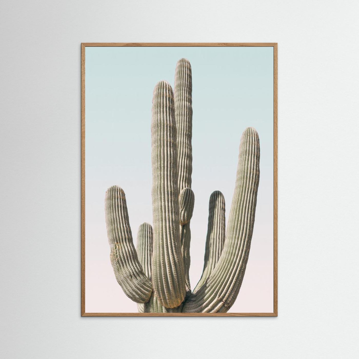Saguaro by Kathrin Pienaar