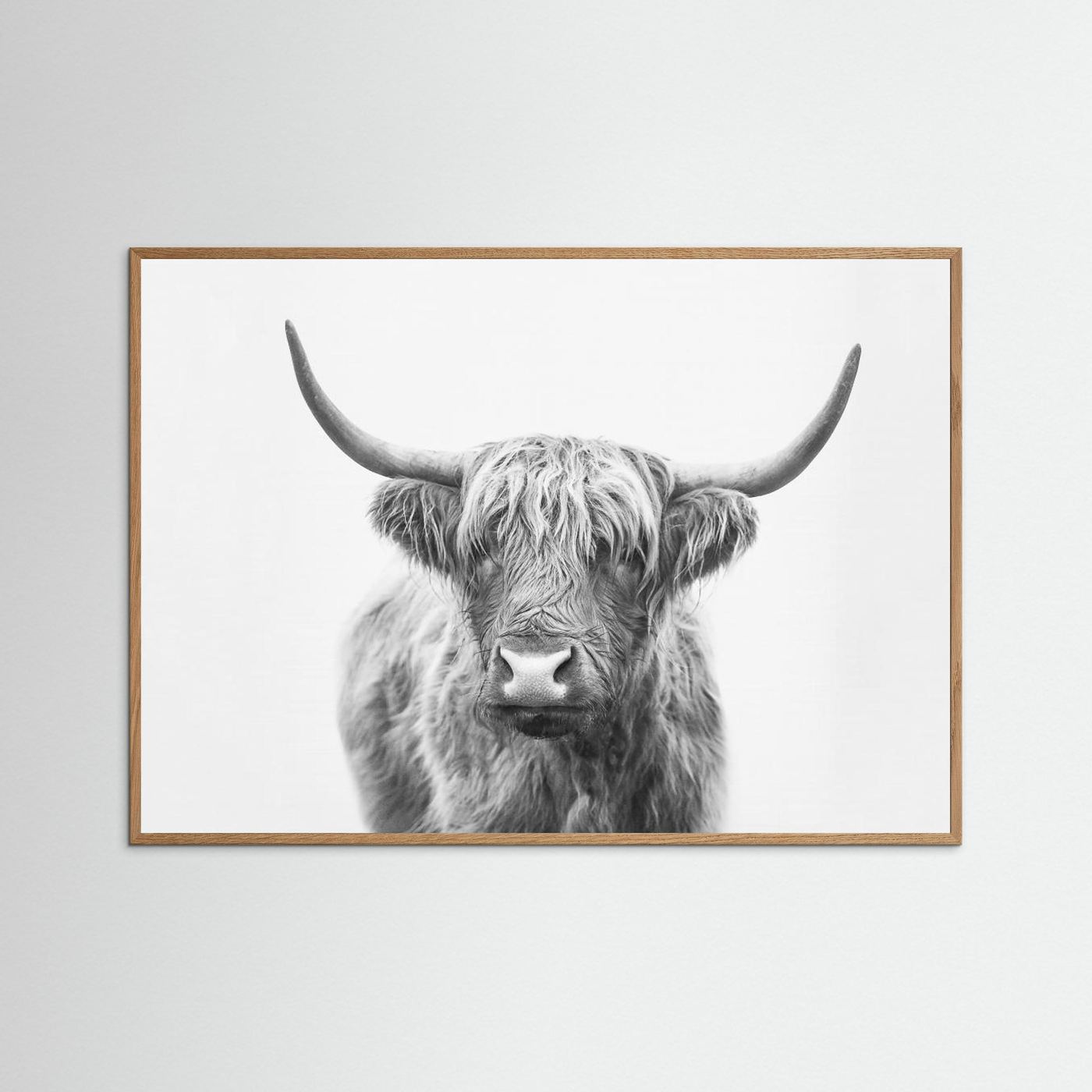 Highland Bull by Kathrin Pienaar