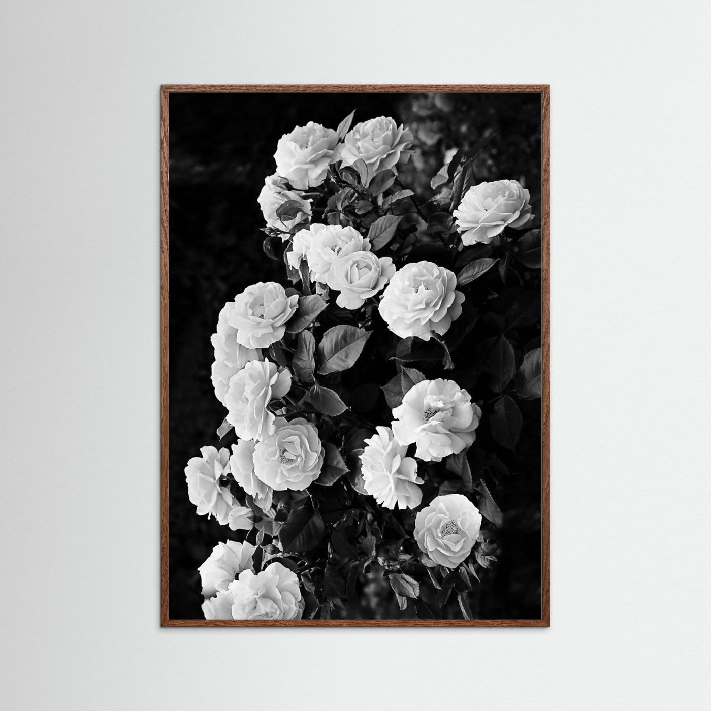 Rose Bush by Kathrin Pienaar