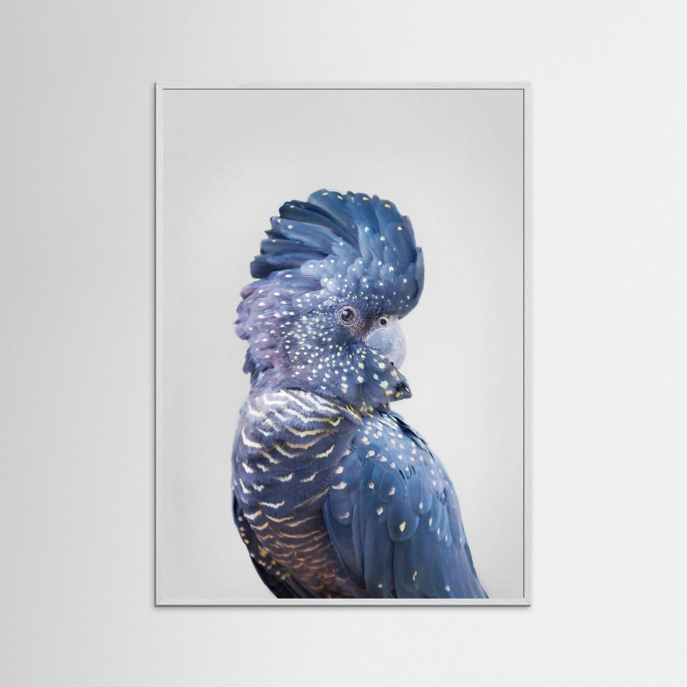 Black Cockatoo by Kathrin Pienaar