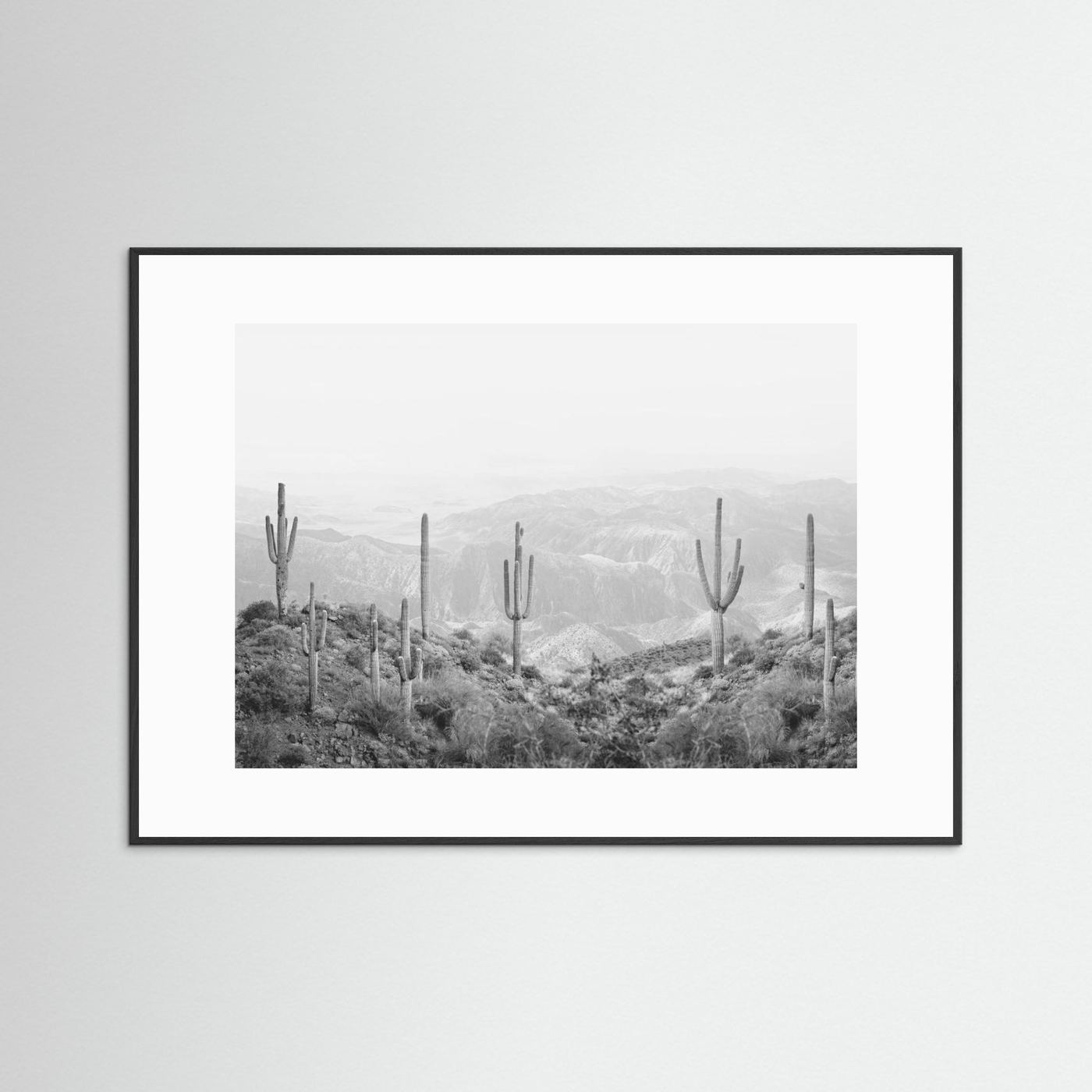 Western Cactus by Kathrin Pienaar