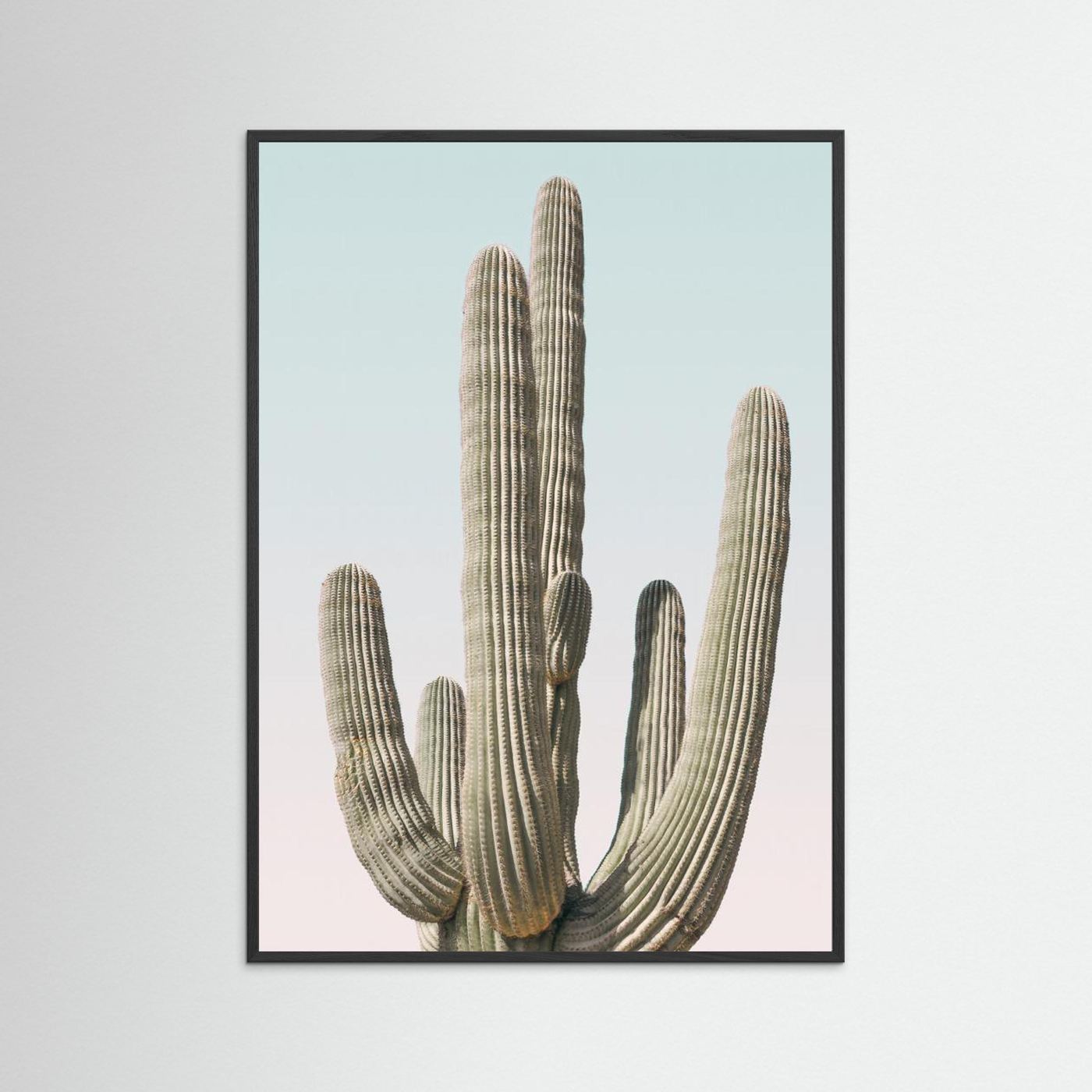 Saguaro by Kathrin Pienaar