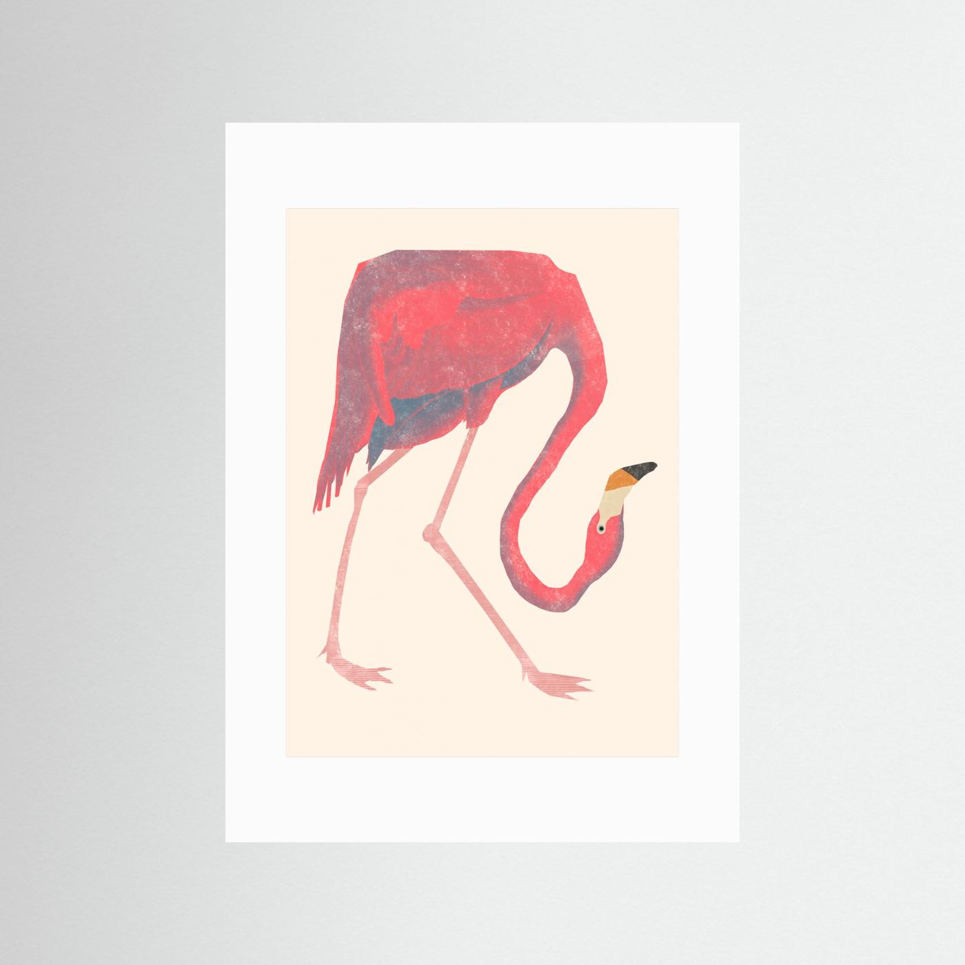 Flamingo by Josephin Hermsdorf