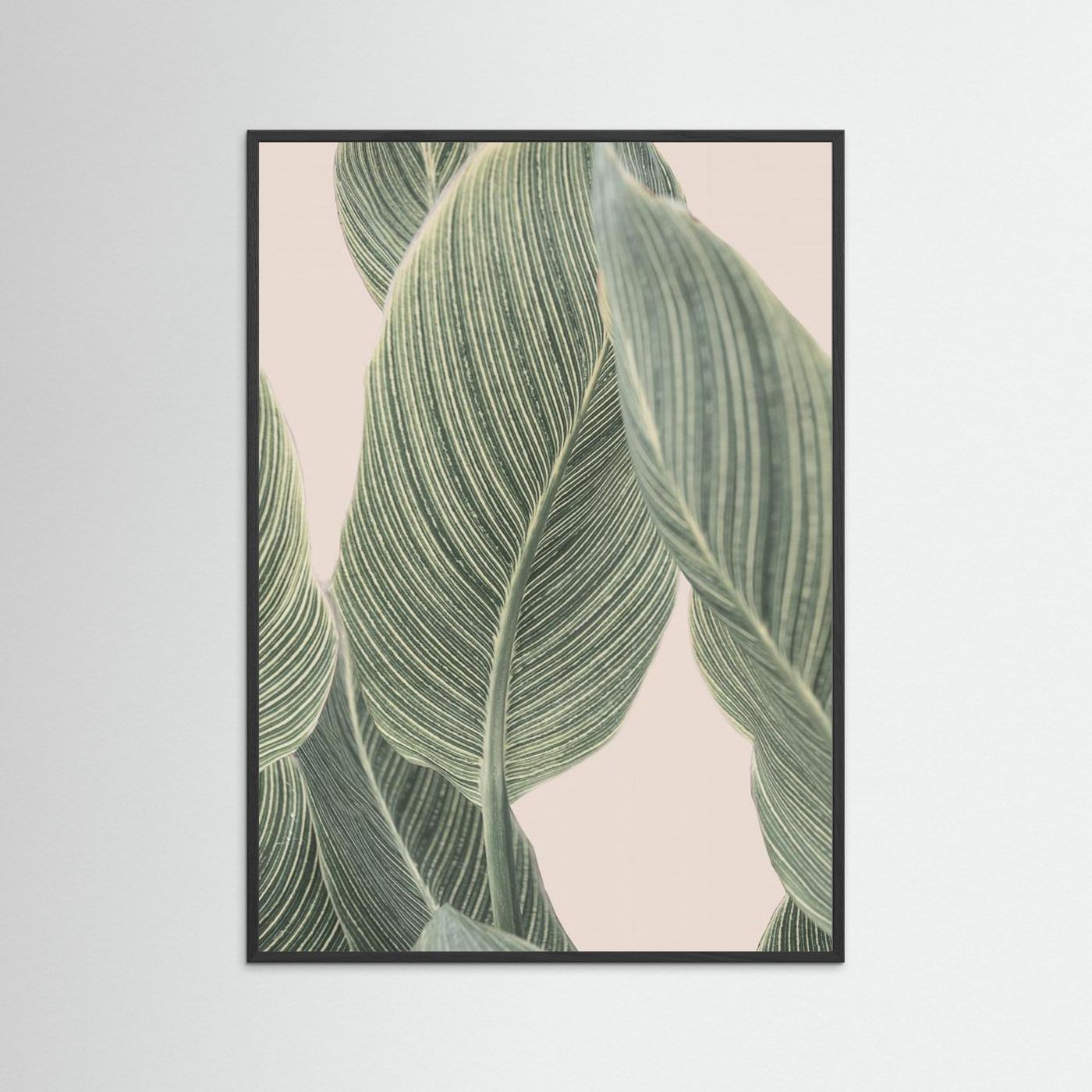 Calla Leaf by Kathrin Pienaar