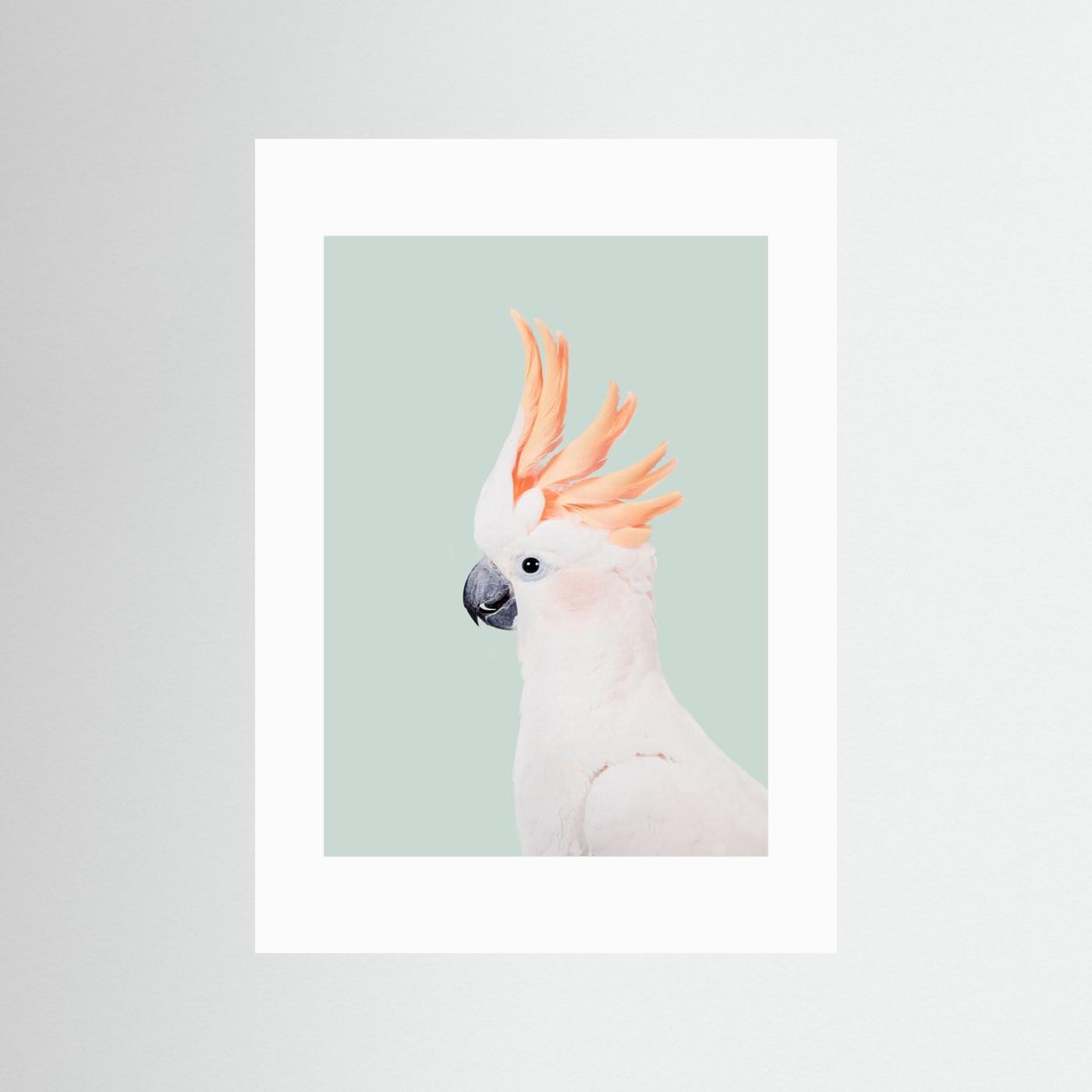 Cockatoo on Mint by Kathrin Pienaar