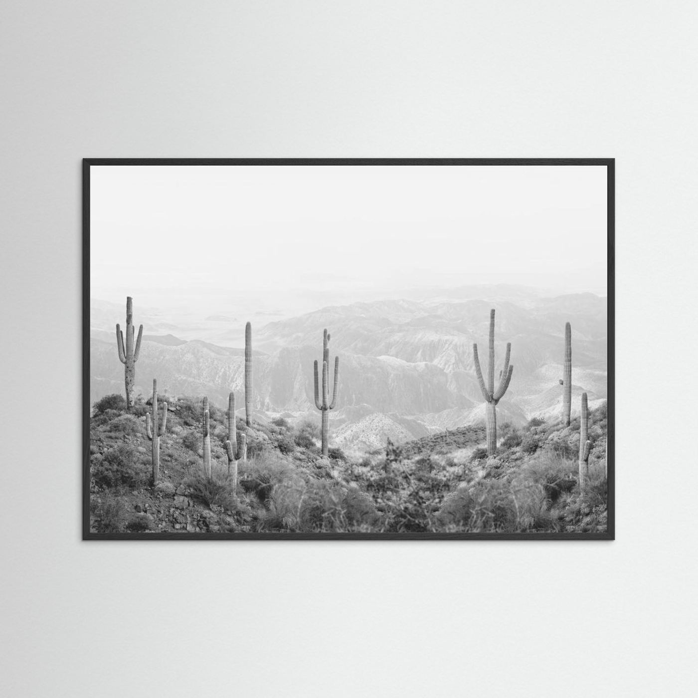 Western Cactus by Kathrin Pienaar
