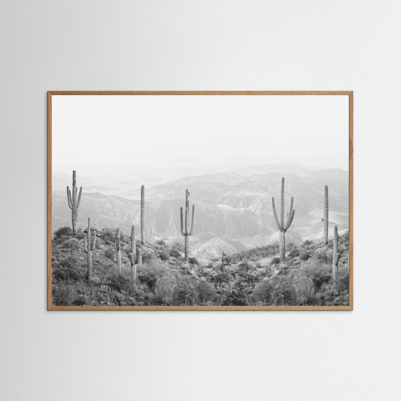 Western Cactus by Kathrin Pienaar