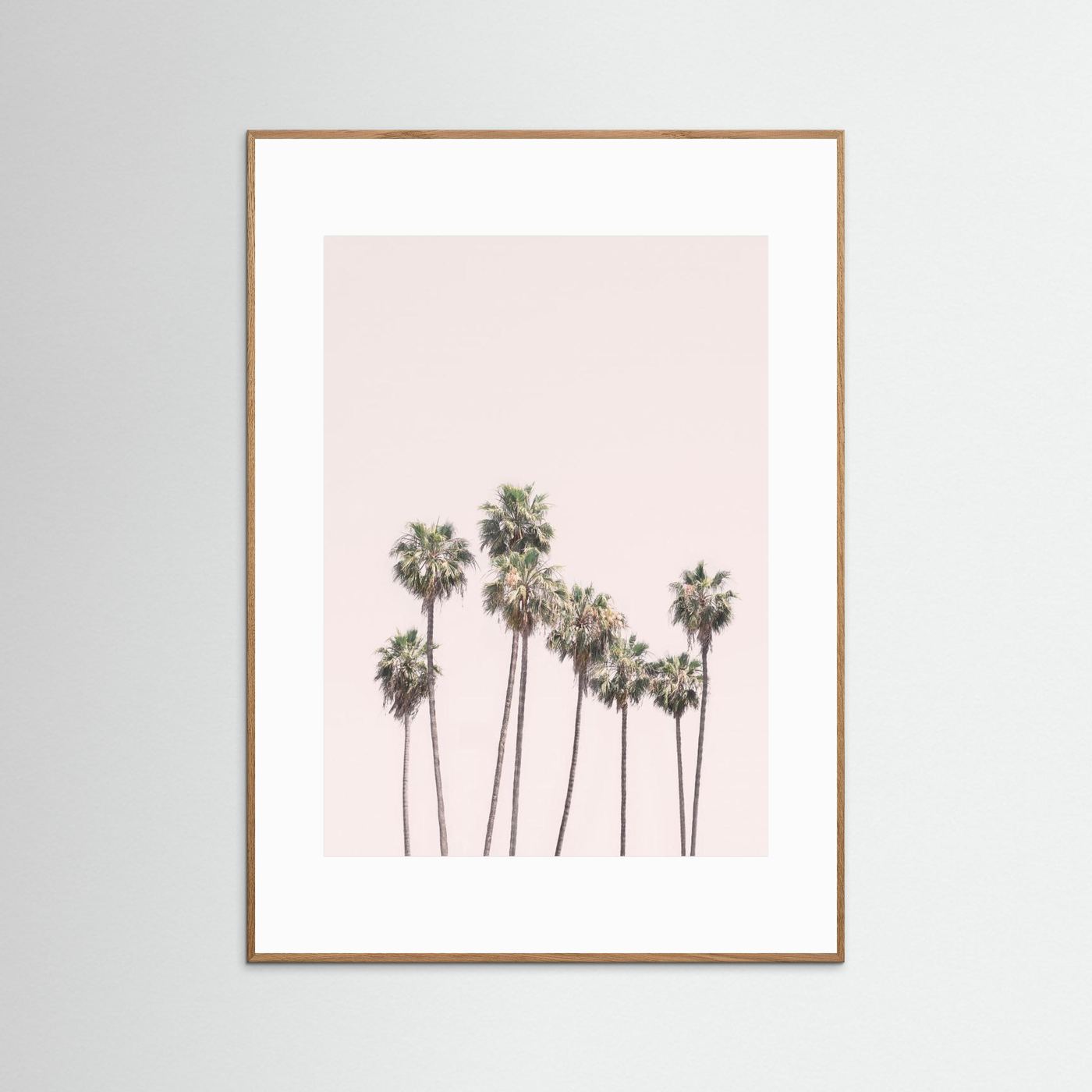 Blush Palms by Kathrin Pienaar