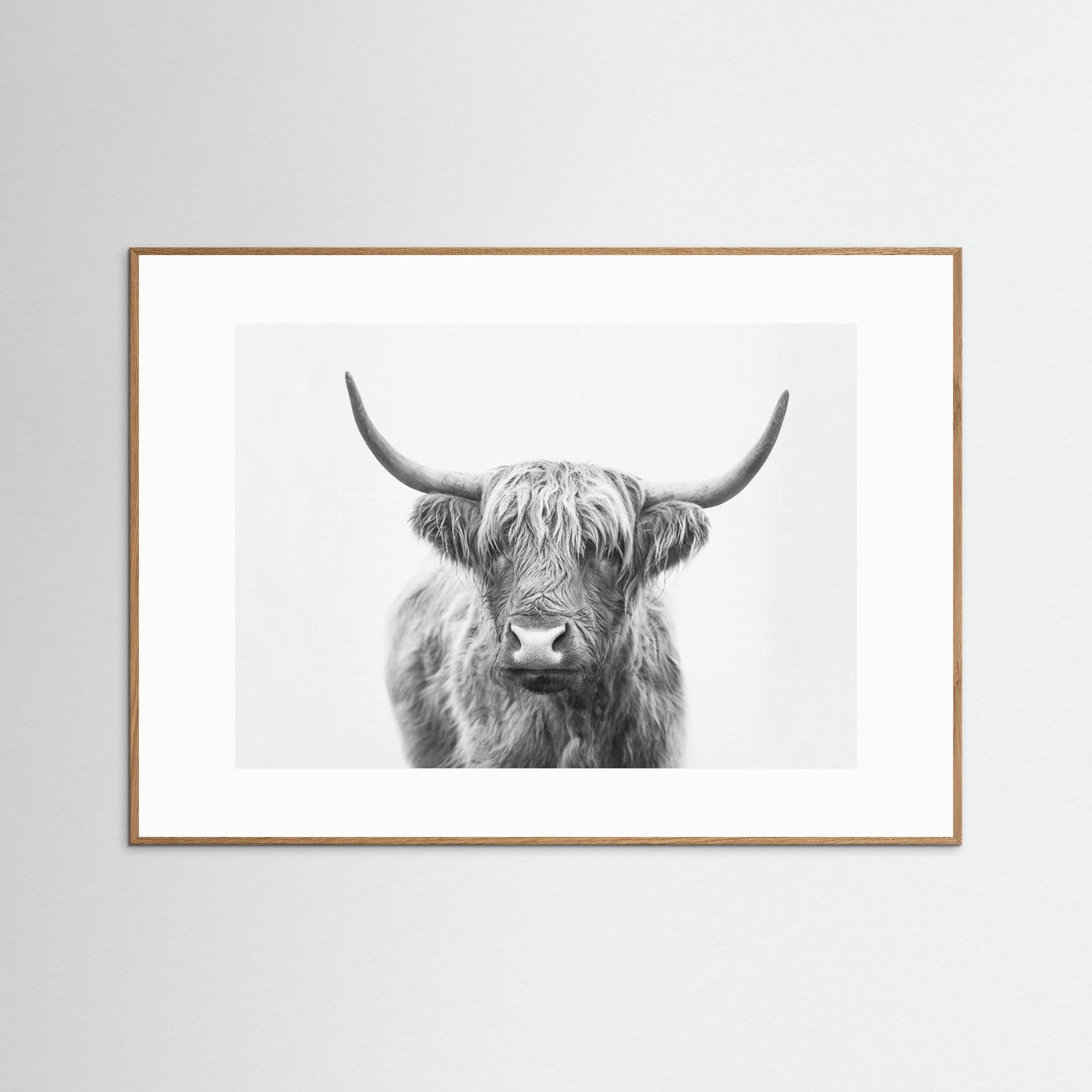 Highland Bull by Kathrin Pienaar
