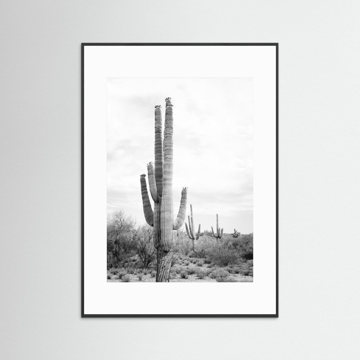 Saguaro B&amp;W by Kathrin Pienaar