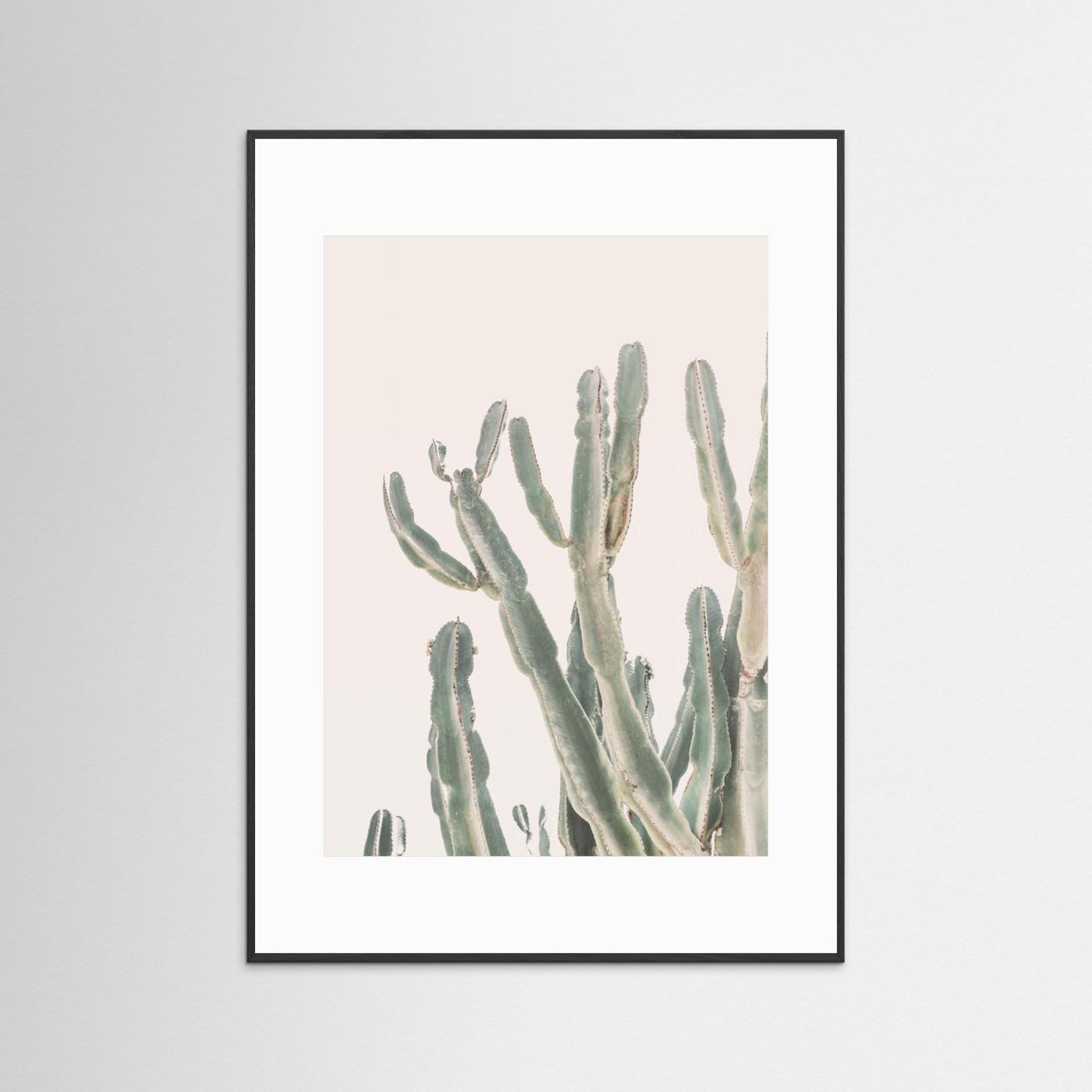 Sunrise Cactus by Kathrin Pienaar