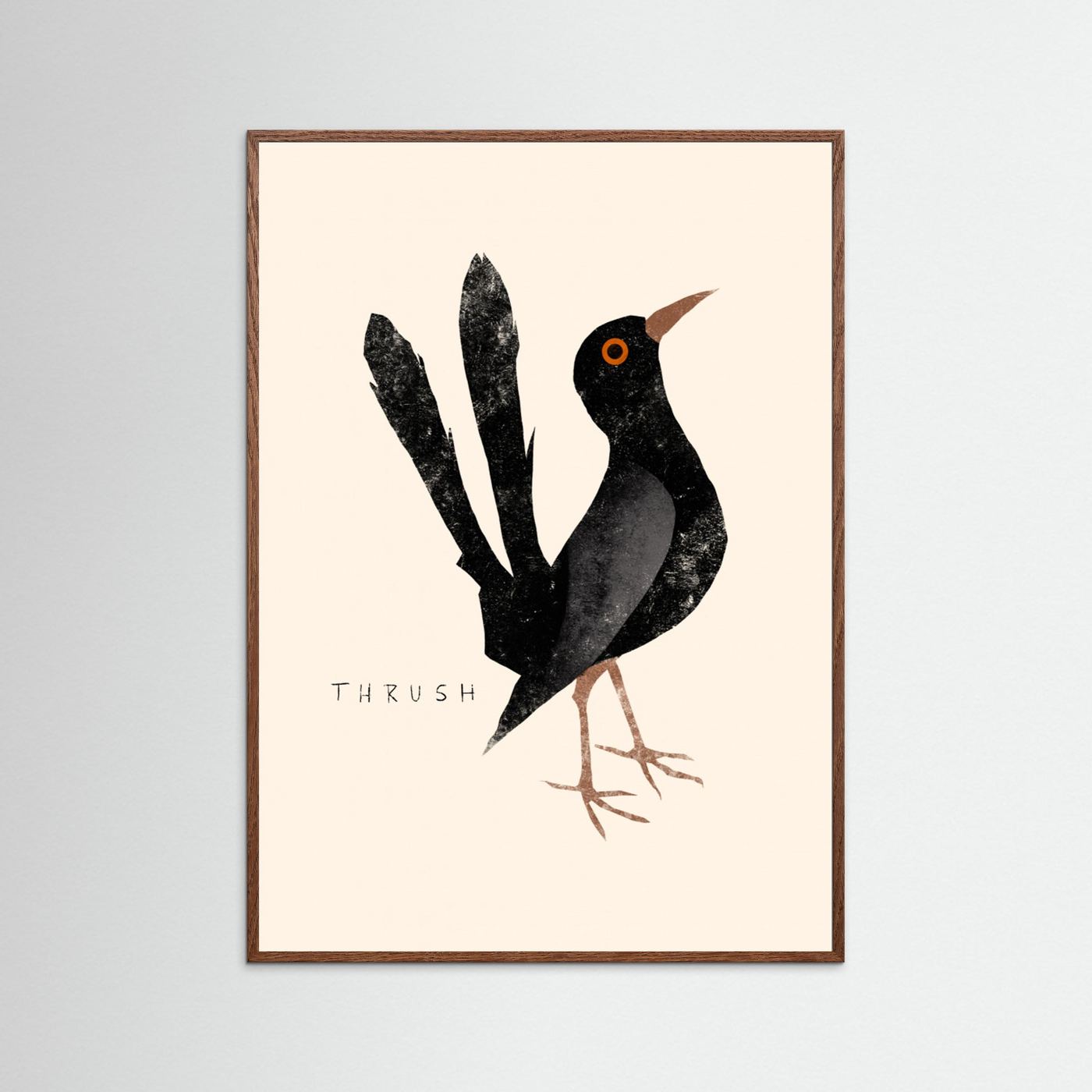 Elegant Black Thrush by Josephin Hermsdorf