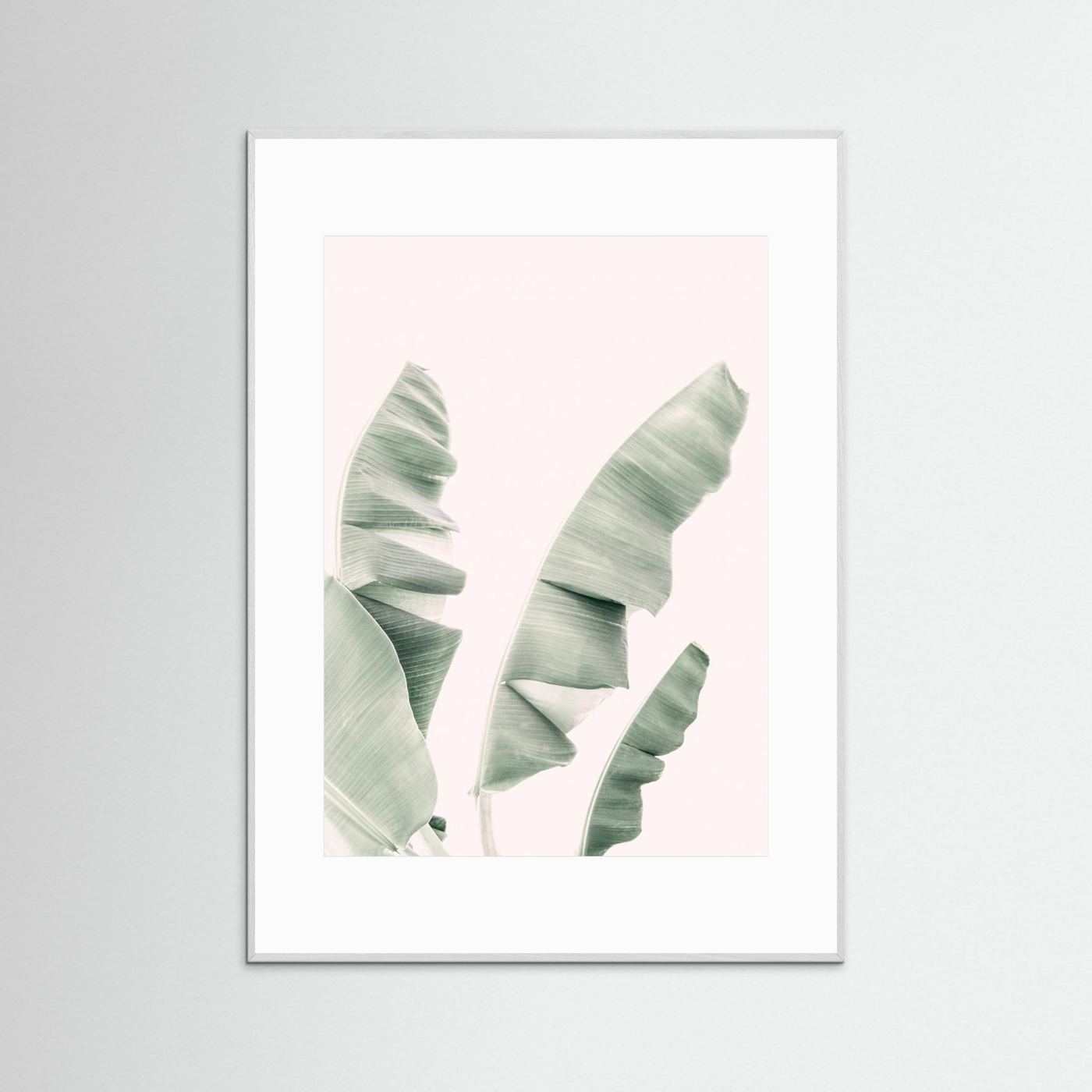 Blush Banana Leaves by Kathrin Pienaar
