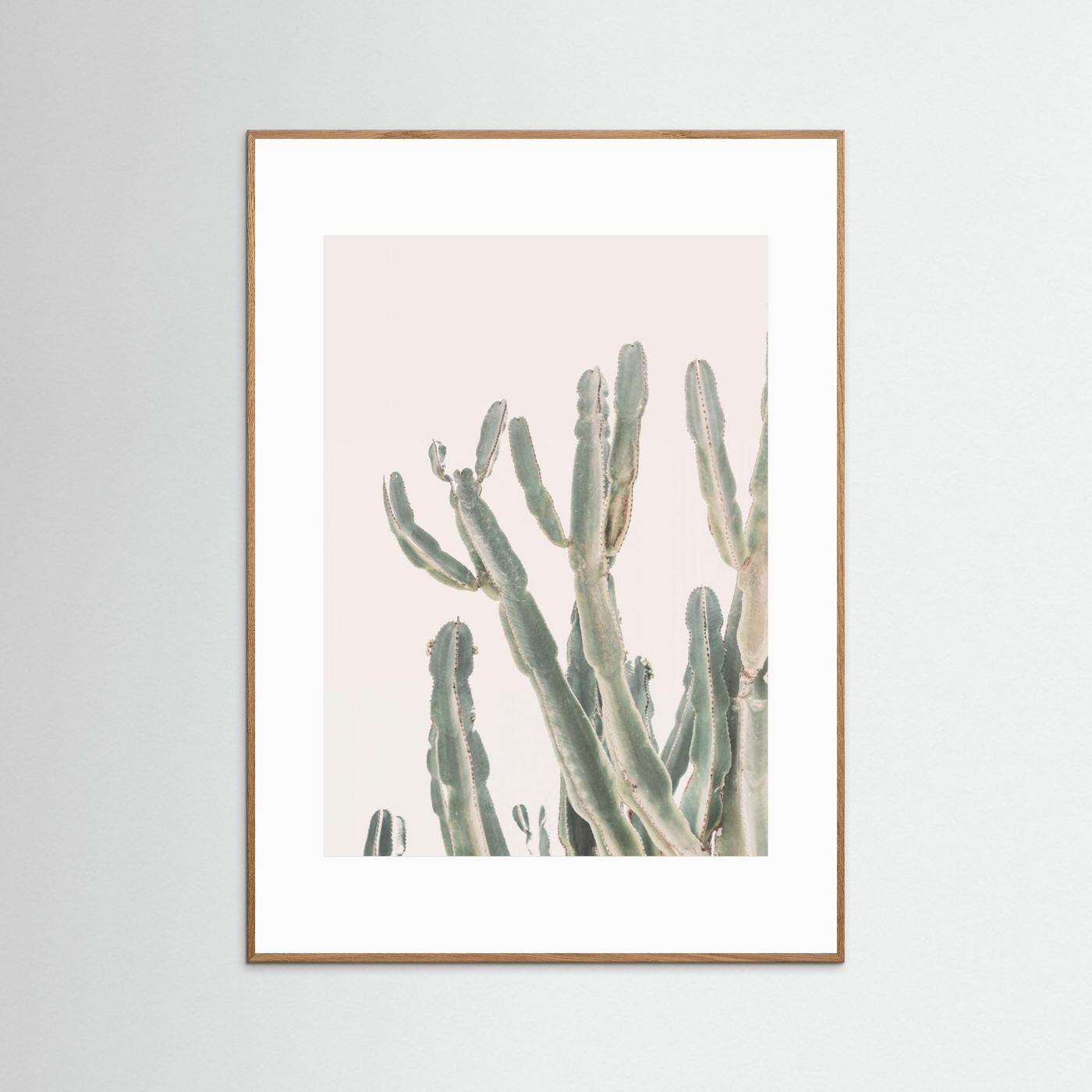 Sunrise Cactus by Kathrin Pienaar