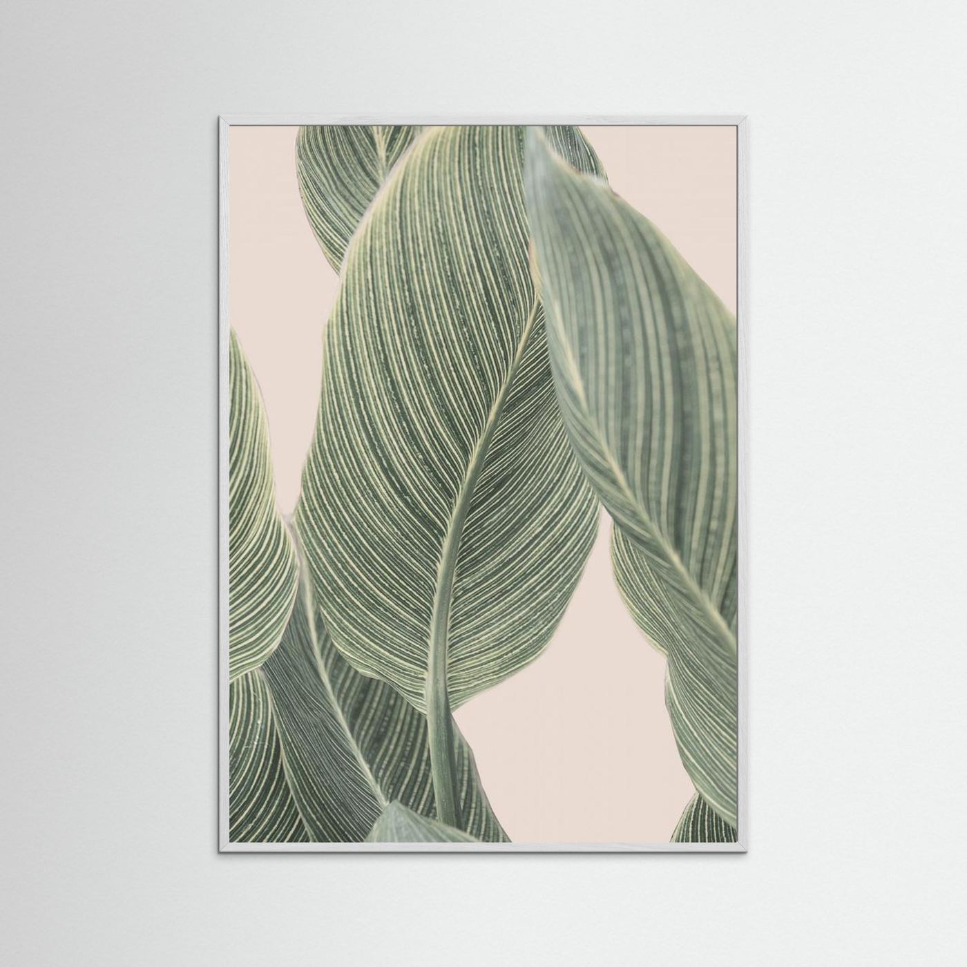 Calla Leaf by Kathrin Pienaar
