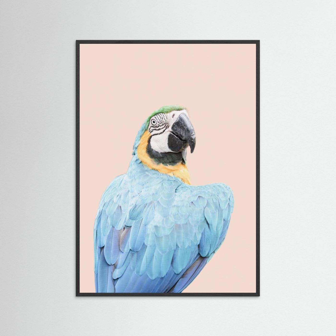 Blue Macaw by Kathrin Pienaar