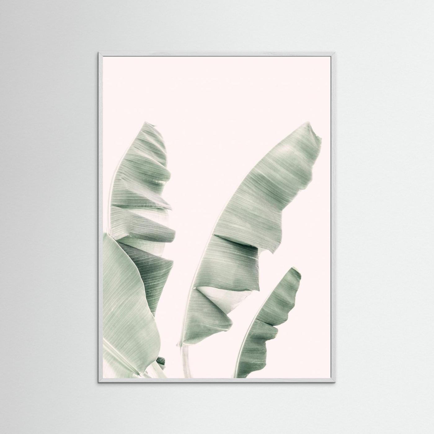 Blush Banana Leaves by Kathrin Pienaar