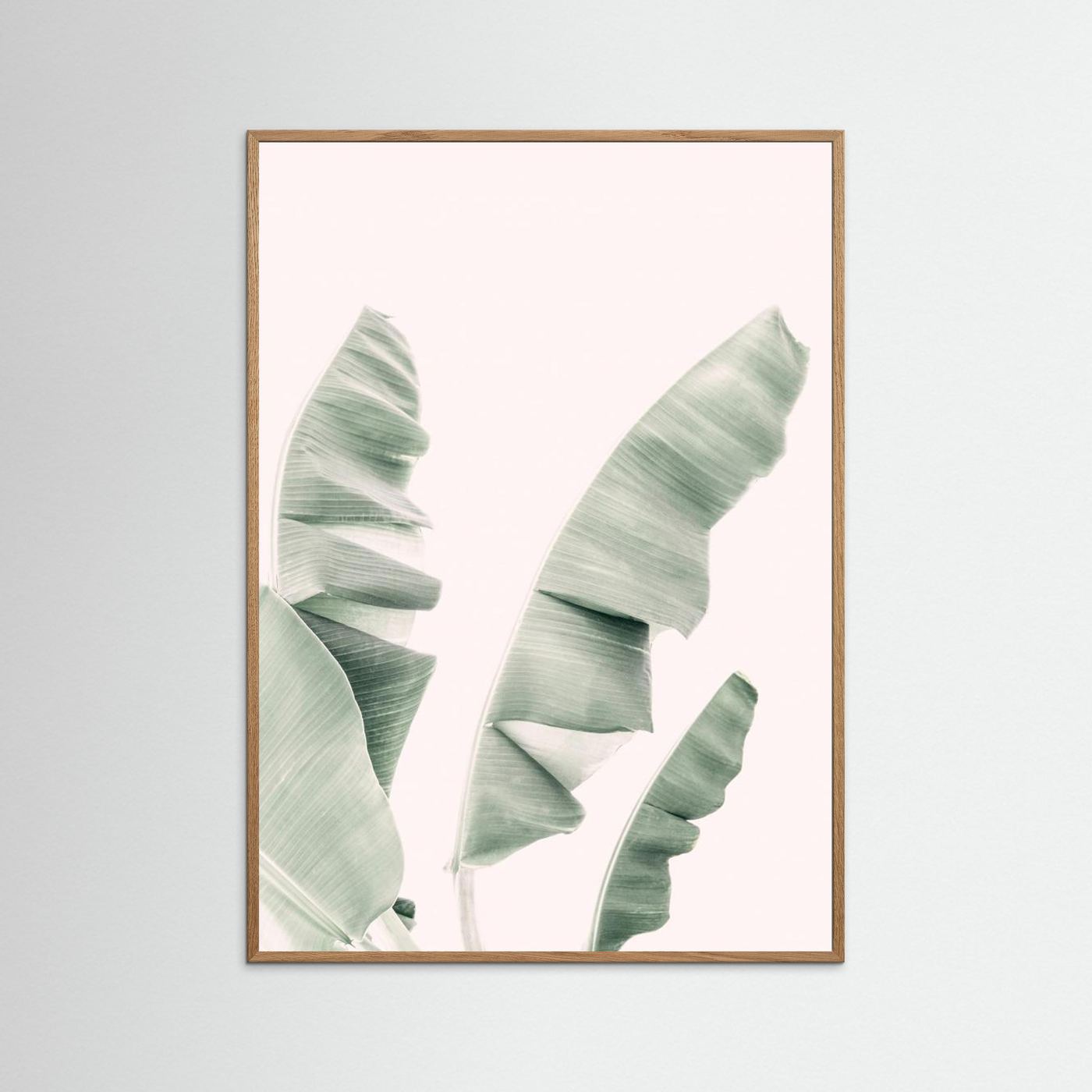 Blush Banana Leaves by Kathrin Pienaar