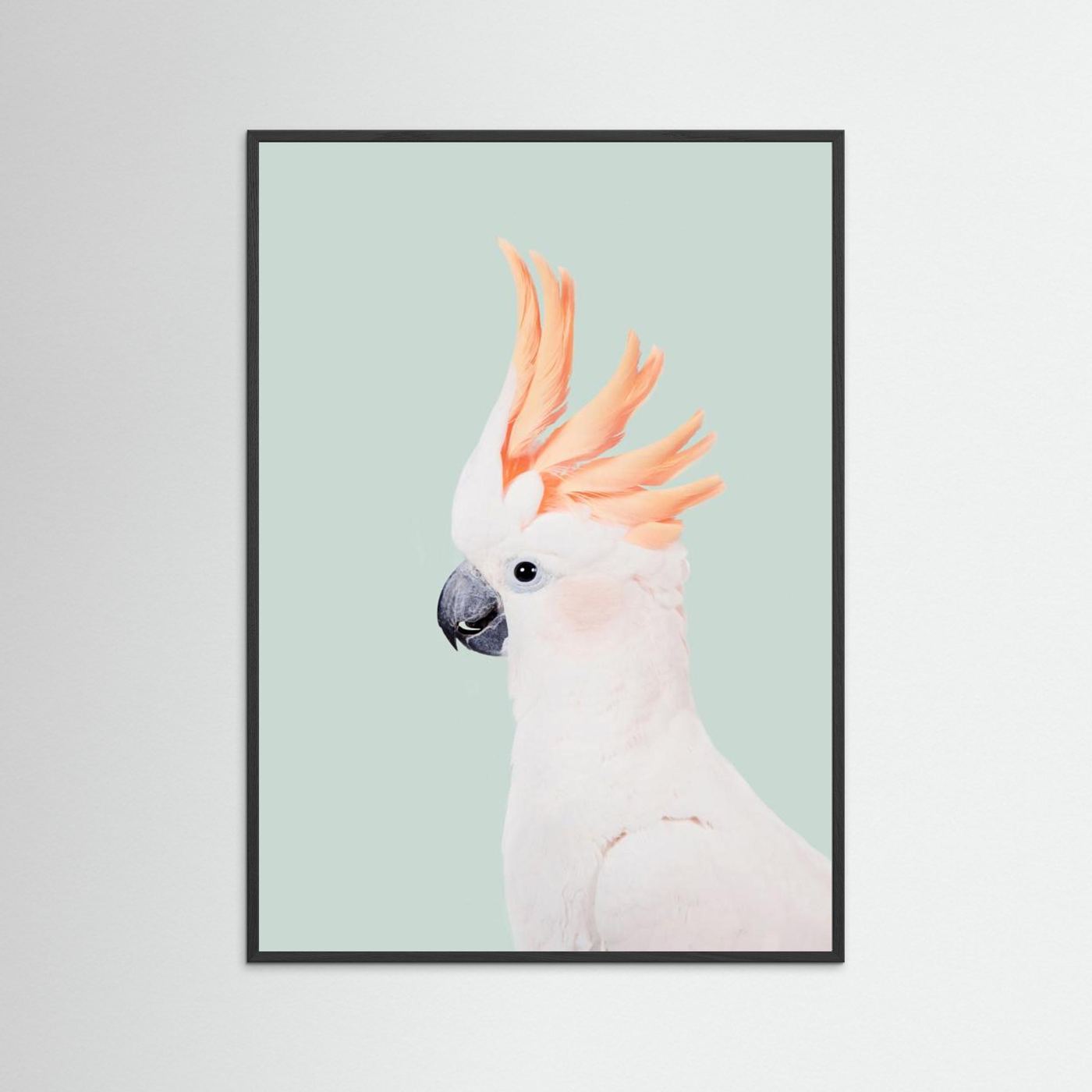 Cockatoo on Mint by Kathrin Pienaar