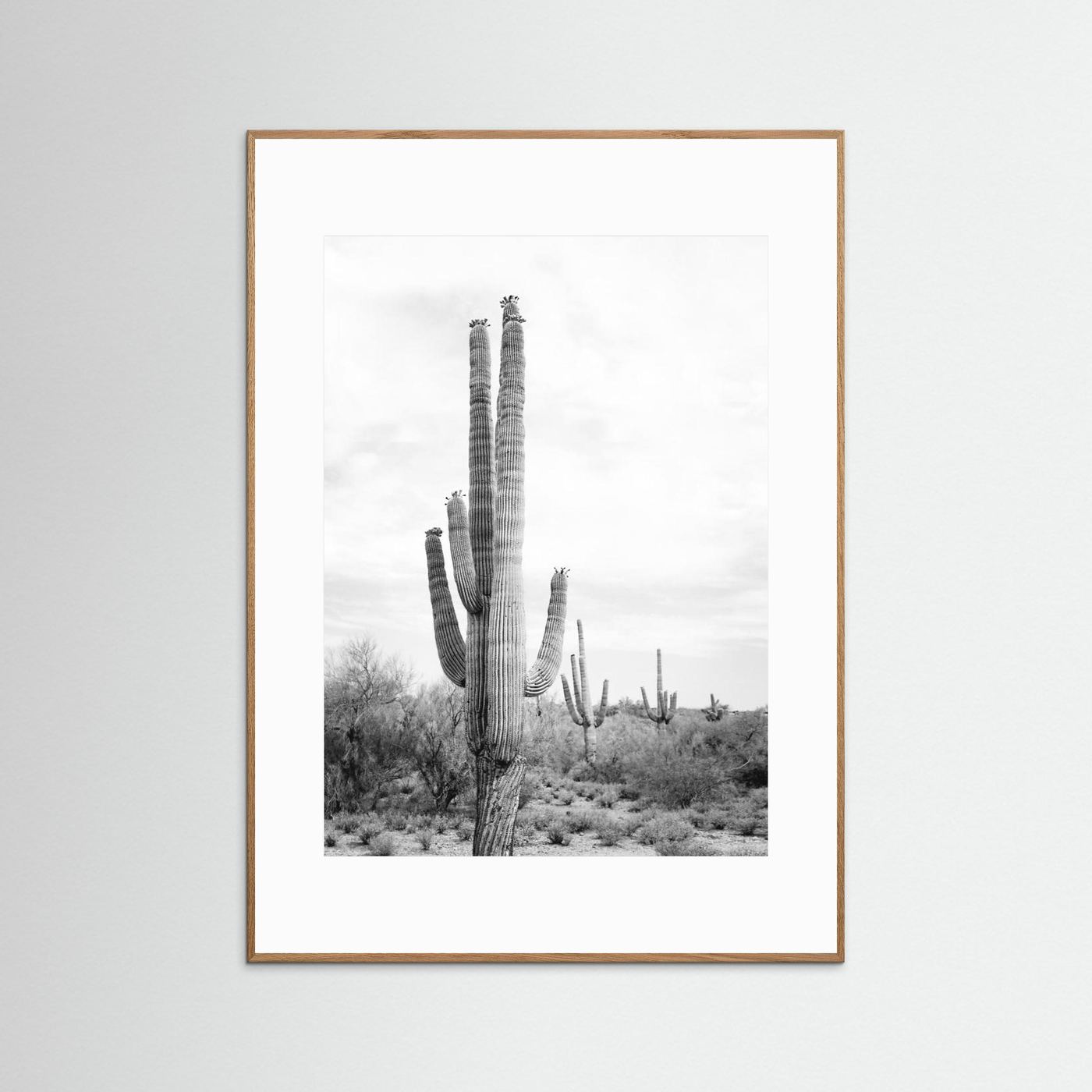 Saguaro B&amp;W by Kathrin Pienaar