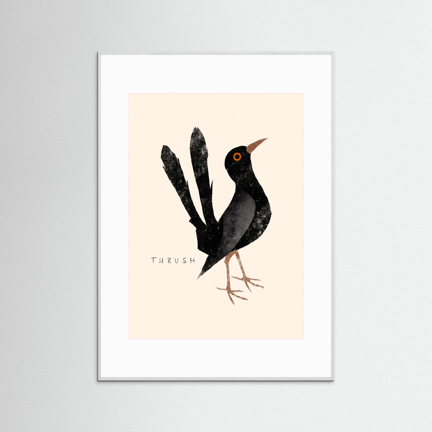 Elegant Black Thrush by Josephin Hermsdorf